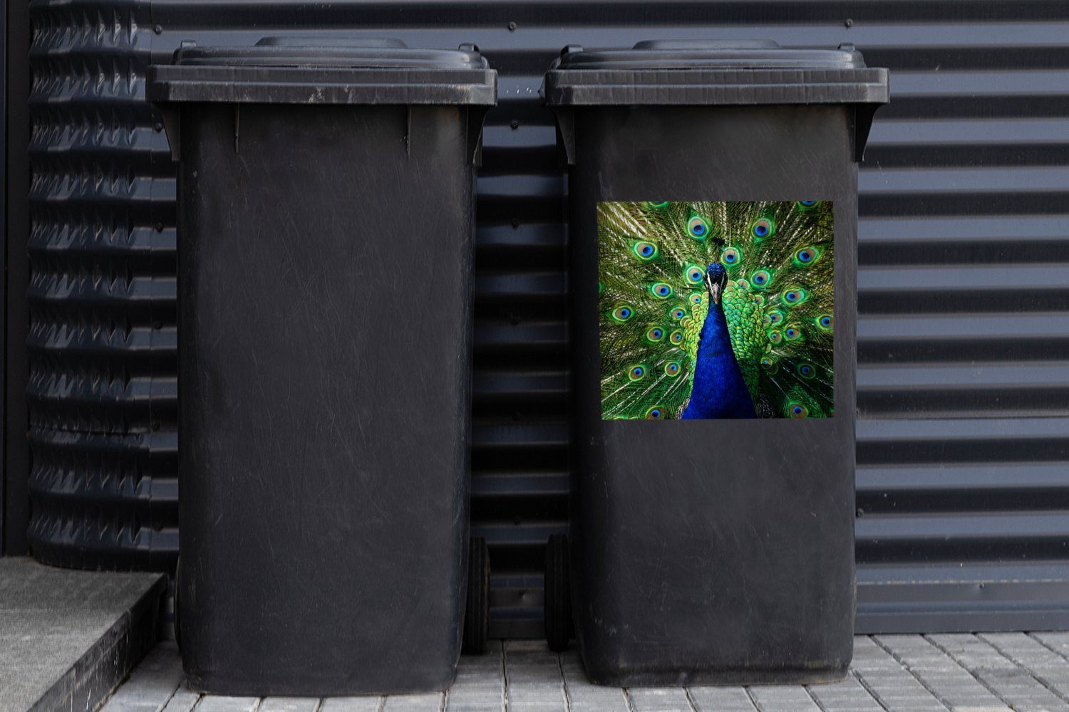 MuchoWow Wandsticker Pfau - Federn Sticker, Container, Augen (1 - Abfalbehälter St), - Mülleimer-aufkleber, Mülltonne, Blau