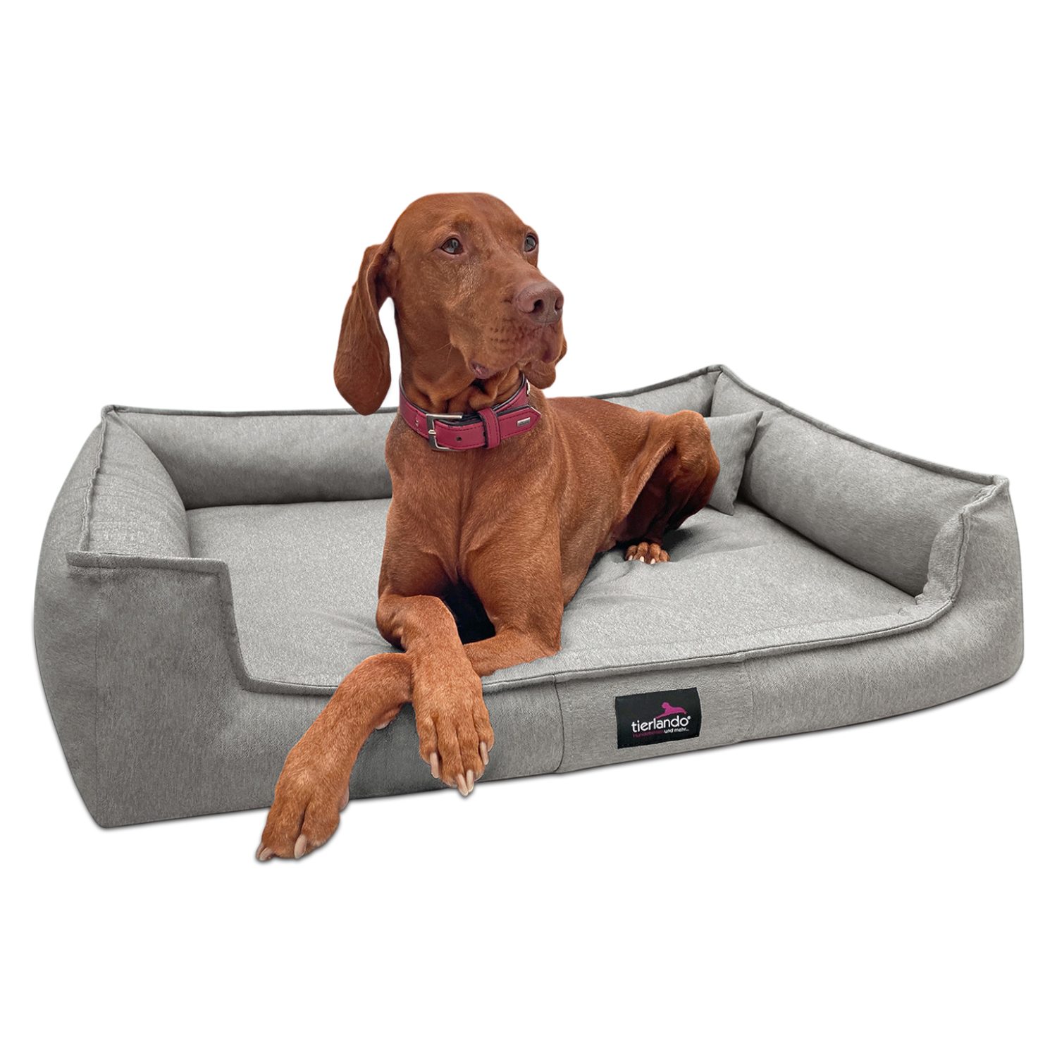 tierlando® Tierbett Orthopädisches Hundebett GUSTAV SCANDI günstig online kaufen