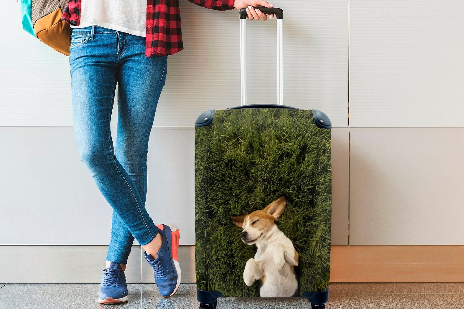 MuchoWow Handgepäck Reisekoffer Hund, 4 Trolley, schlafender mit rollen, Ferien, Im Reisetasche Gras Handgepäckkoffer für Rollen,