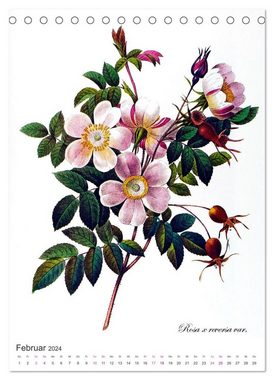 CALVENDO Wandkalender Rosen-Jahr (Tischkalender 2024 DIN A5 hoch), CALVENDO Monatskalender