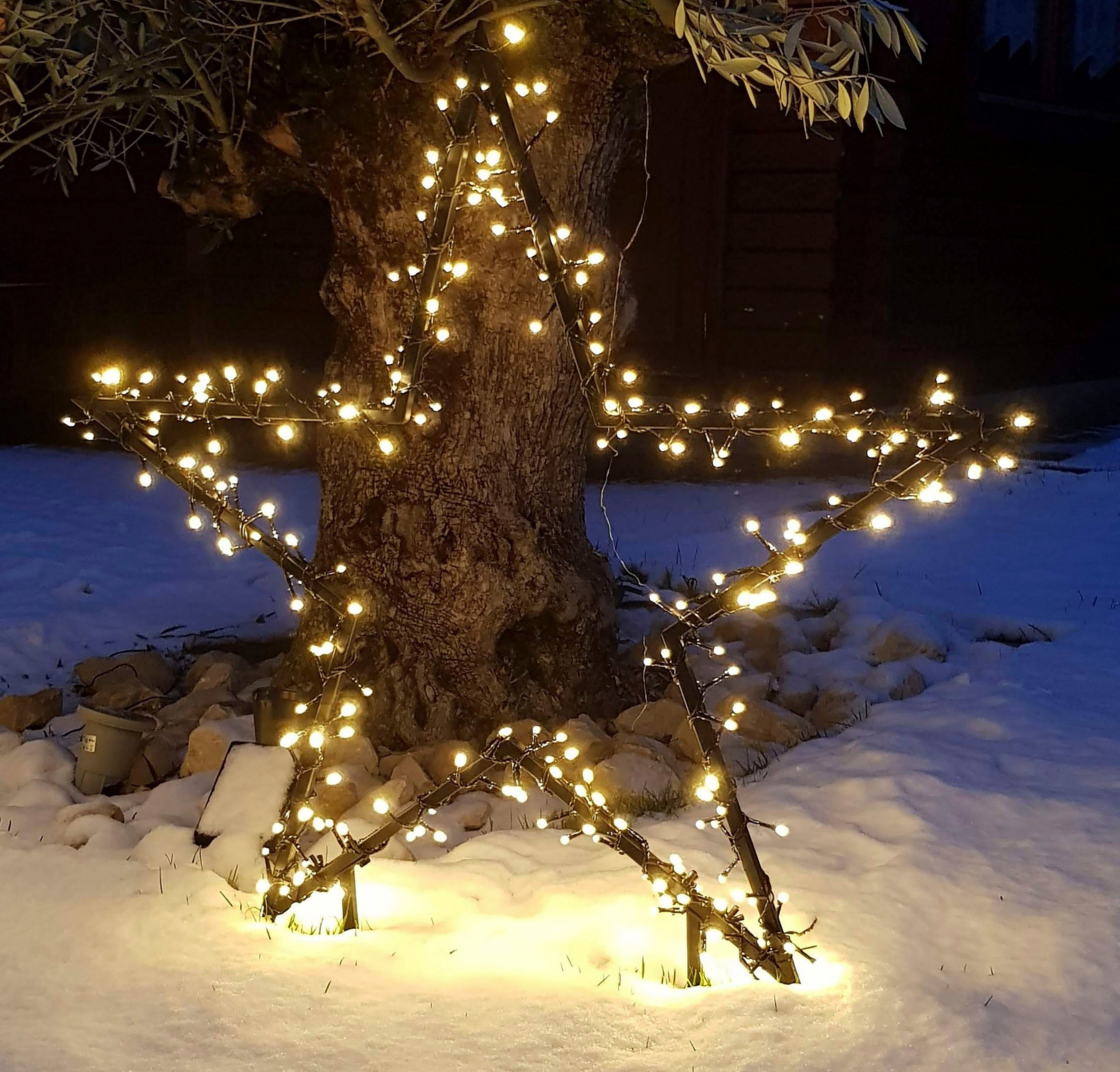Stern Weihnachtsstern, Weihnachtsdeko, Gartenstecker mit LED Star-Max LED-Beleuchtung
