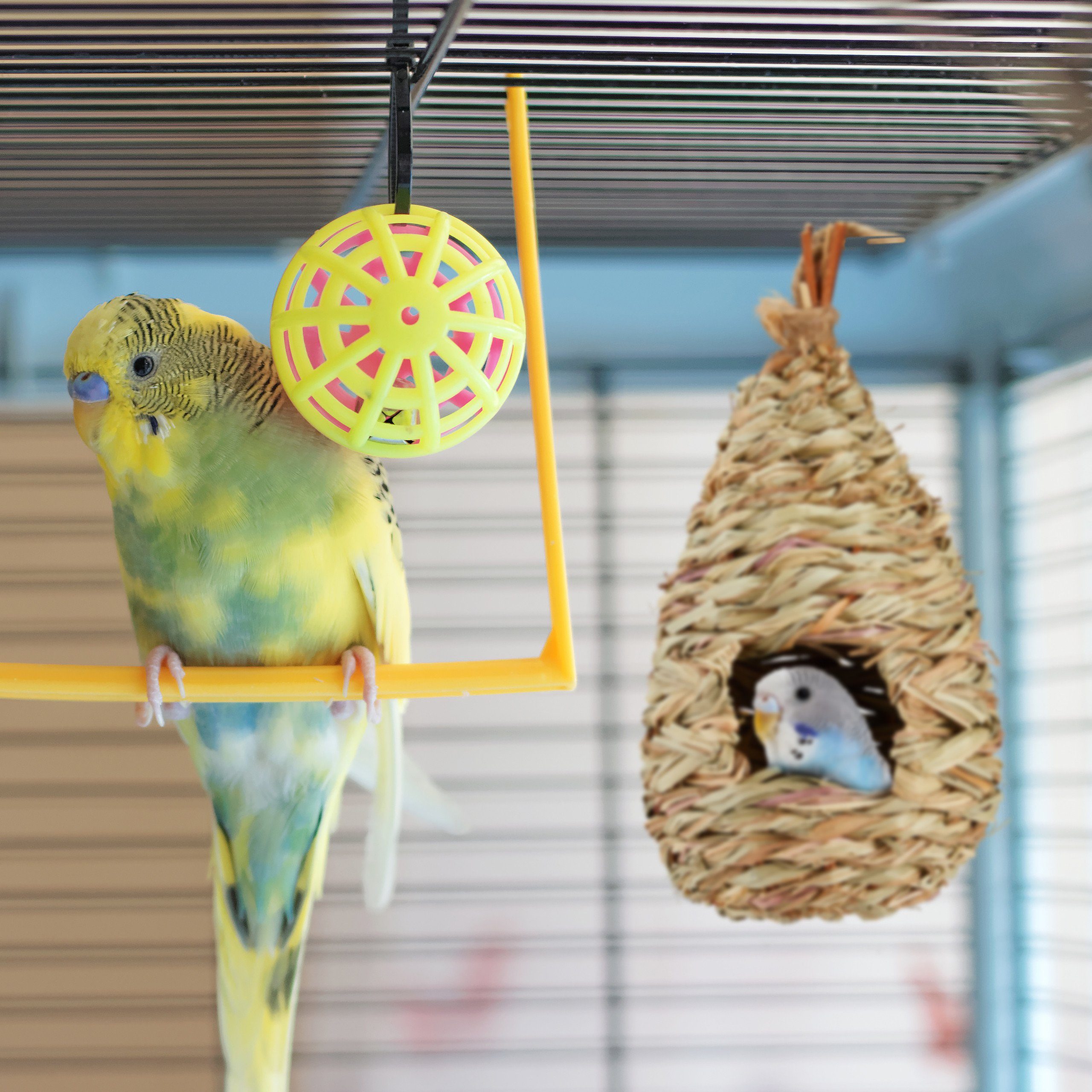 Vogelnest Vogelhaus Aufhängen zum relaxdays