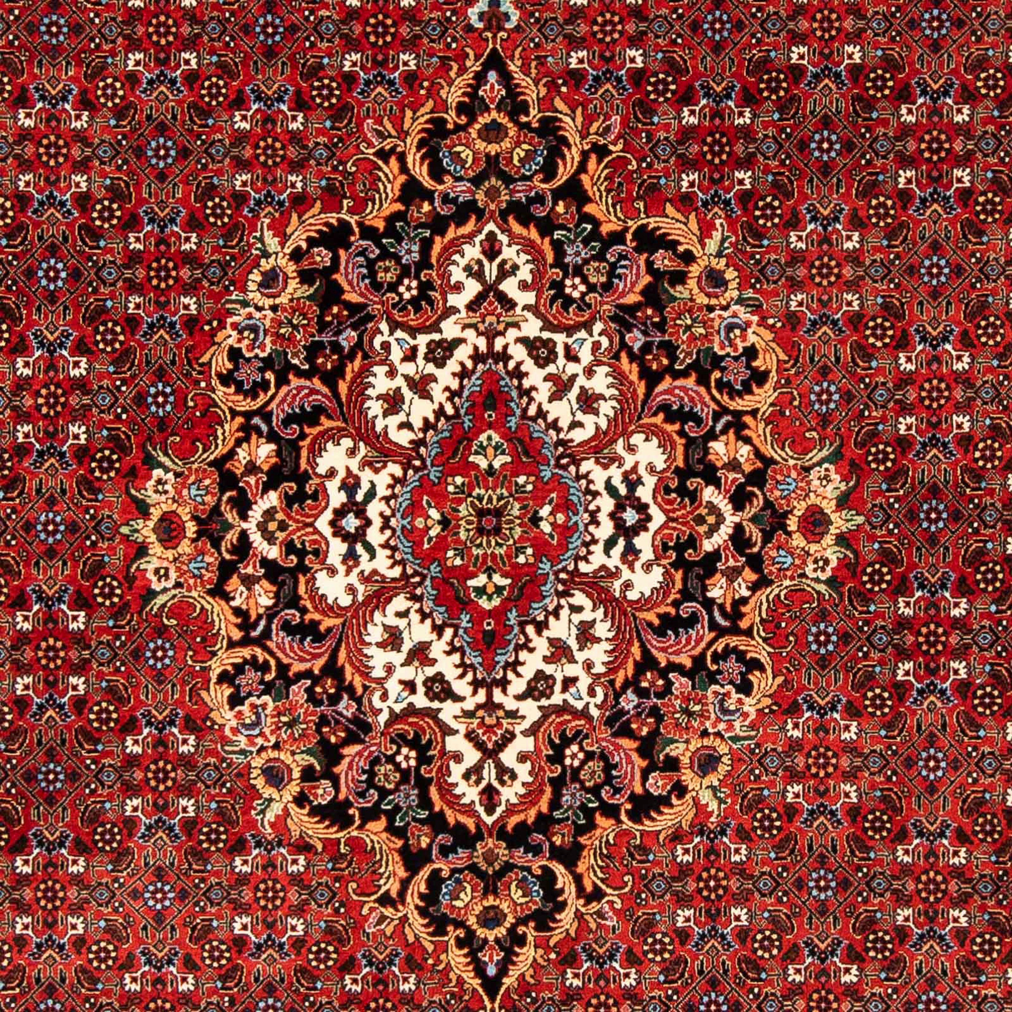 Orientteppich Perser - Bidjar mm, - Zertifikat dunkelrot, Wohnzimmer, rechteckig, morgenland, - 15 mit Höhe: 242 Einzelstück 168 cm x Handgeknüpft