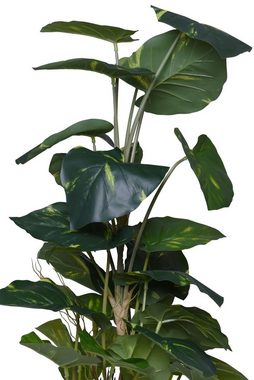 Kunstpflanze Kunstpflanze künstliche Efeutute im Topf Kunststoff POTHOS - 50x85 cm, VIVANNO, Höhe 85 cm