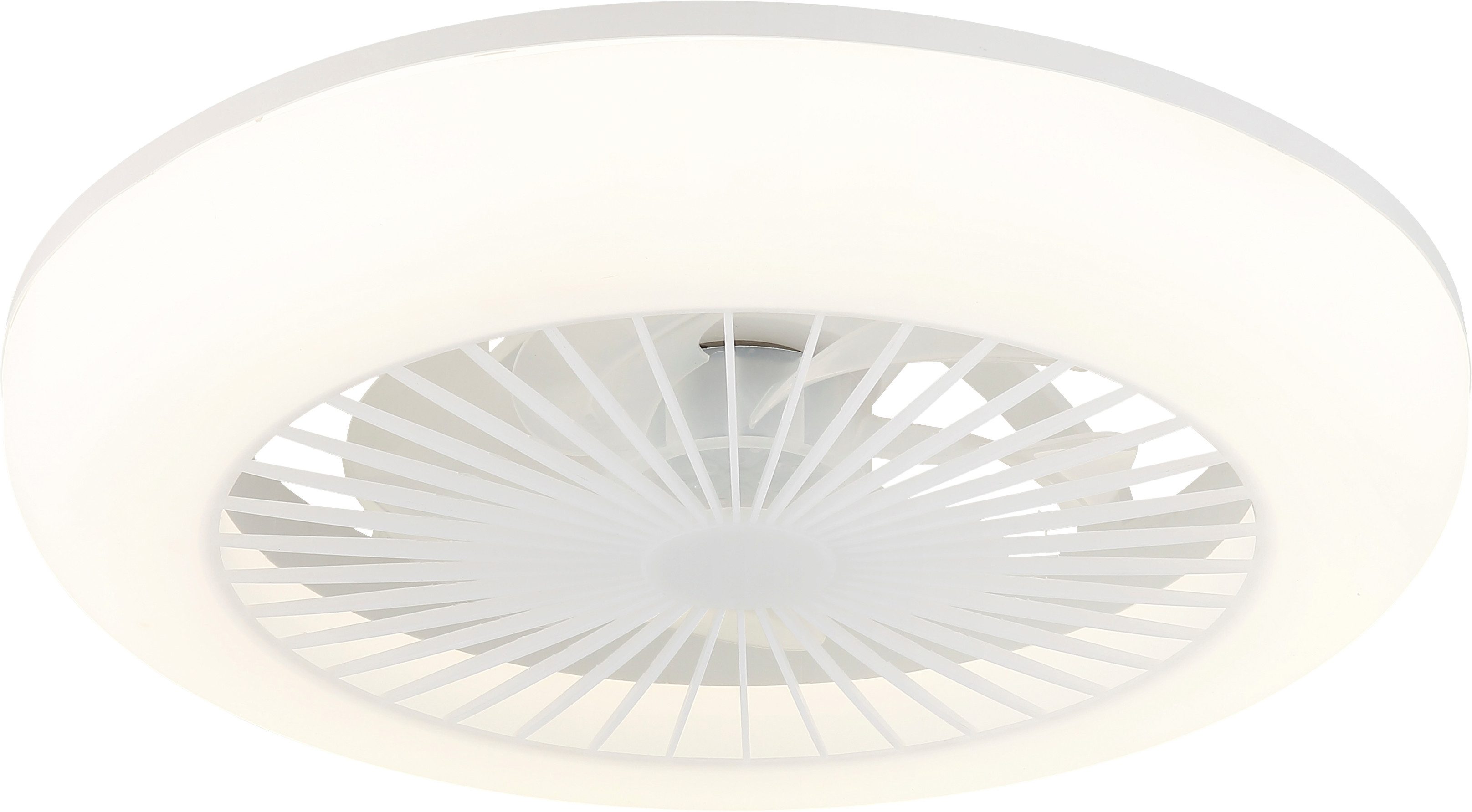 GLOBO LIGHTING Deckenleuchte FERRELL, LED fest integriert, Deckenventilator mit LED, dimmbar, smart & energiesparend