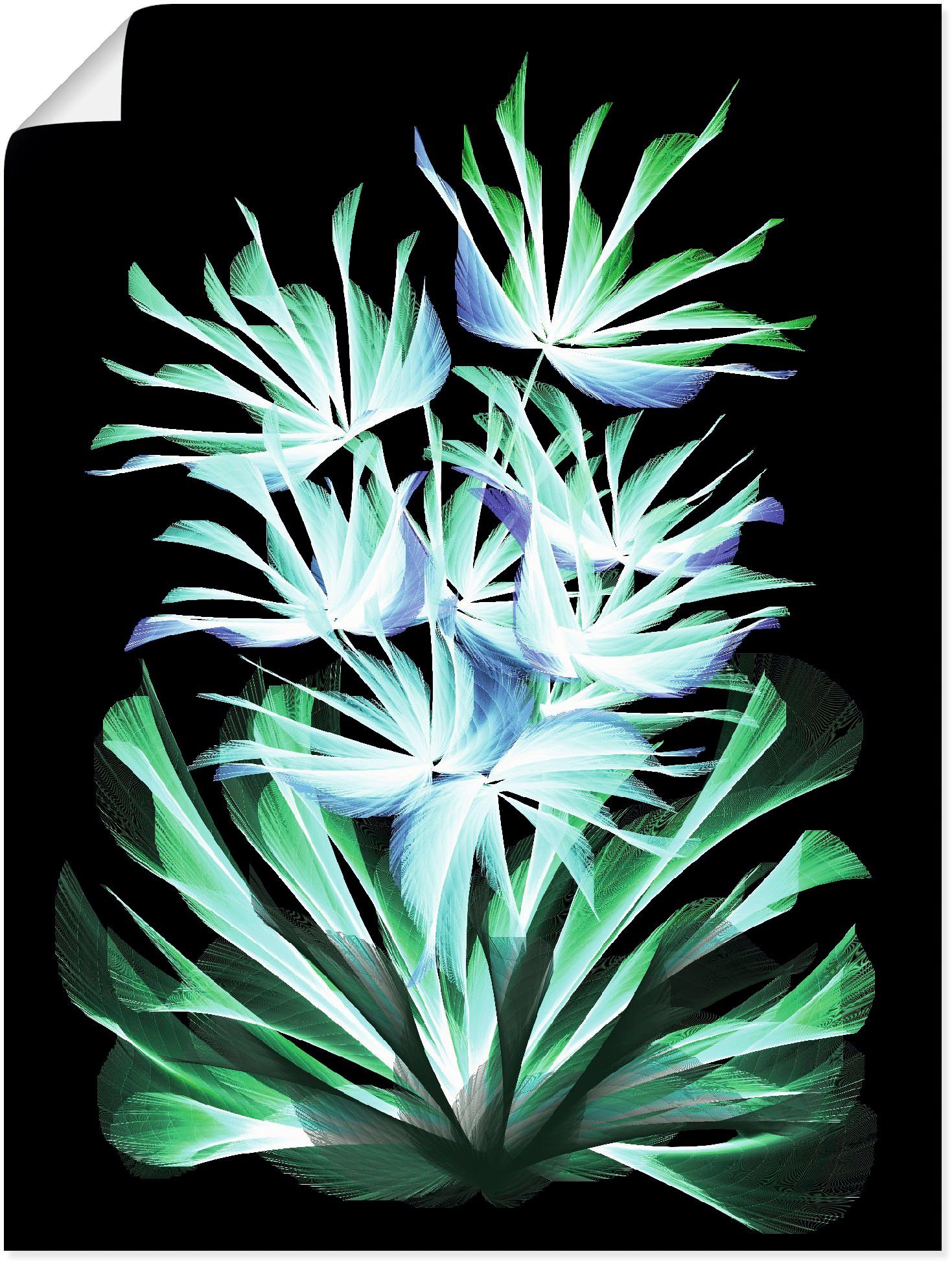 [Mit Bonus] Artland Wandbild oder Nachtblumen, versch. Poster klassische St), als Wandaufkleber Leuchtende (1 Alubild, Fantasie Leinwandbild, Größen in