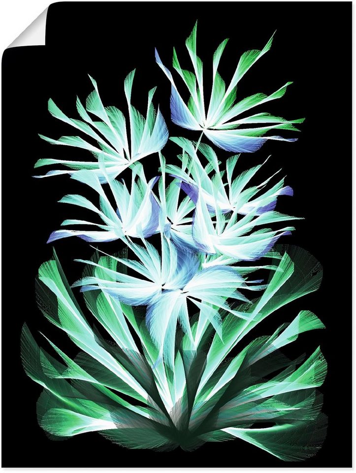 Artland Wandbild Leuchtende Nachtblumen, klassische Fantasie (1 St), als  Alubild, Leinwandbild, Wandaufkleber oder Poster in versch. Größen