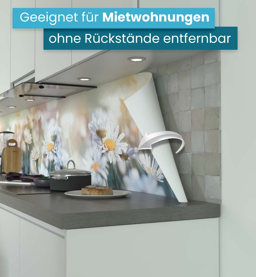 MyMaxxi Küchenrückwand Küchenrückwand selbstklebend Blumen Margeriten Spritzschutz Folie, (Klebefolie Küchenrückwand aufgerollt B 400 cm x H 60 cm), White Flowe – Bild 3 von 5