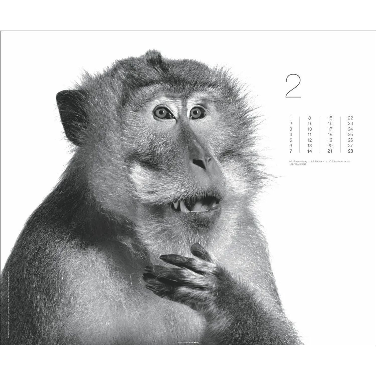 Wandkalender Black & White Animals 2027