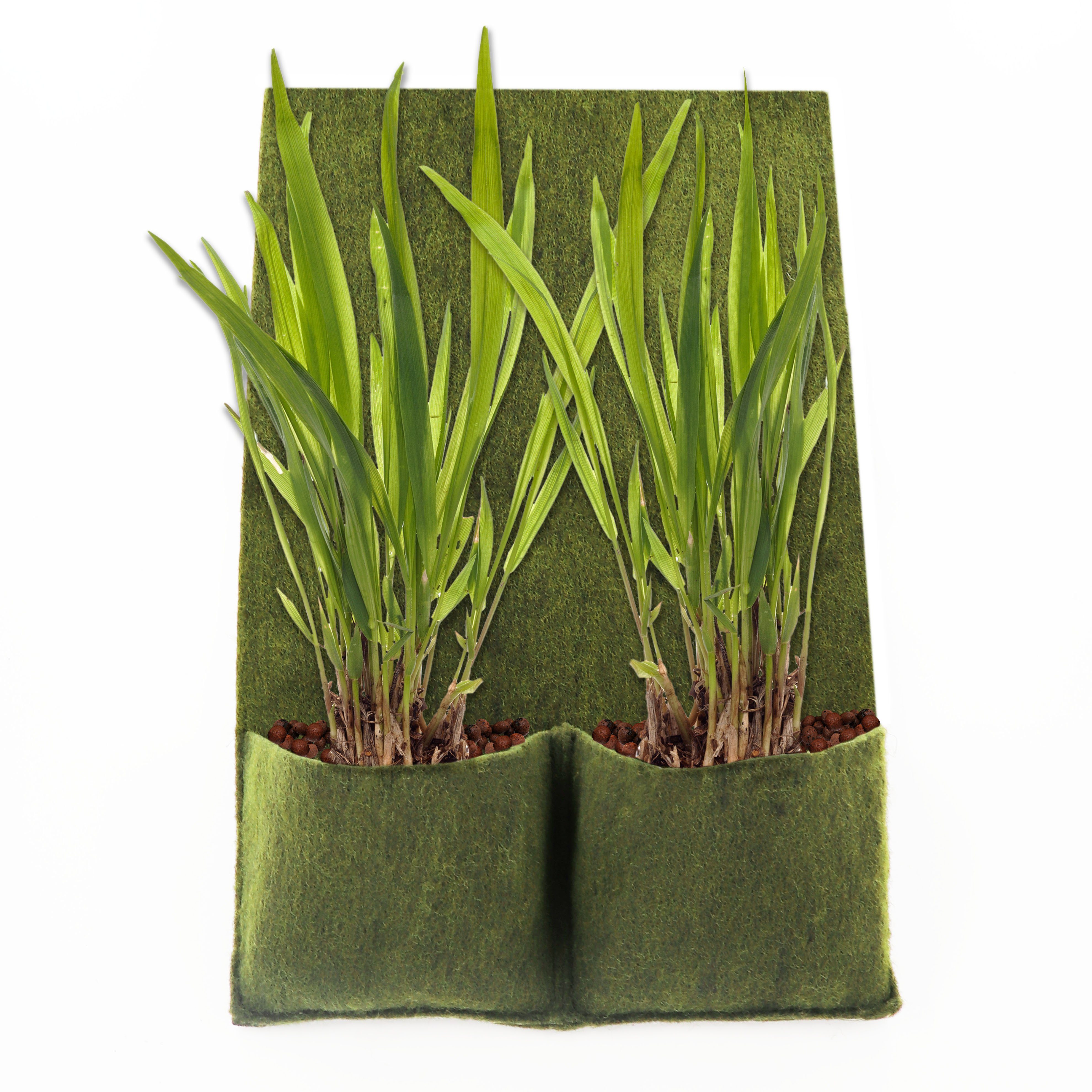 Aquagart Teichvlies 1 Pflanztasche Pflanztaschen Ufermatte Böschungsmatte für Teichfolie, Verkleben, (1-St)