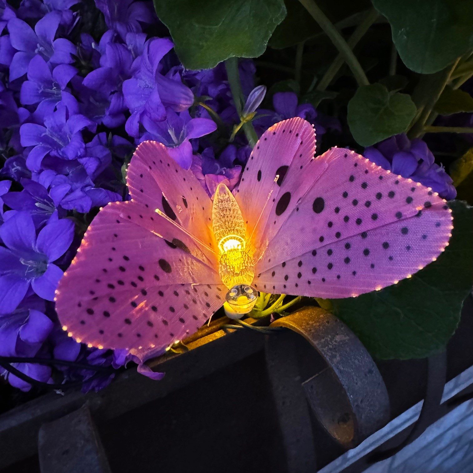 Online-Fuchs LED-Lichterkette Outdoor Solar mit 15 bunten Schmetterlingen o günstig online kaufen