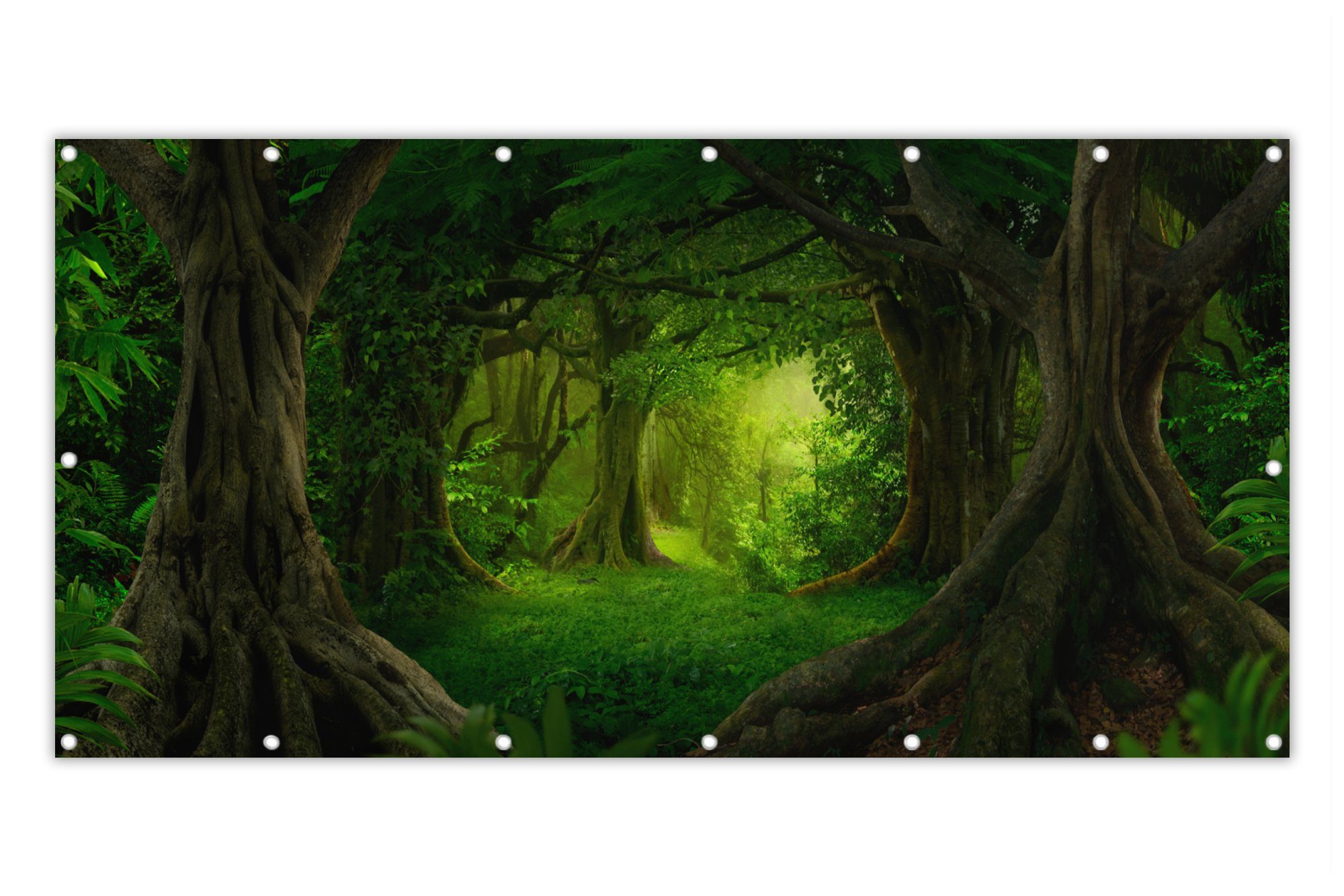 MuchoWow Balkonsichtschutz Bäume - Wald - Grün - Landschaft - Natur (1-St) Balkon Sichtschutz 90x200, Windschutz für Zaun PVC, 200x90 cm
