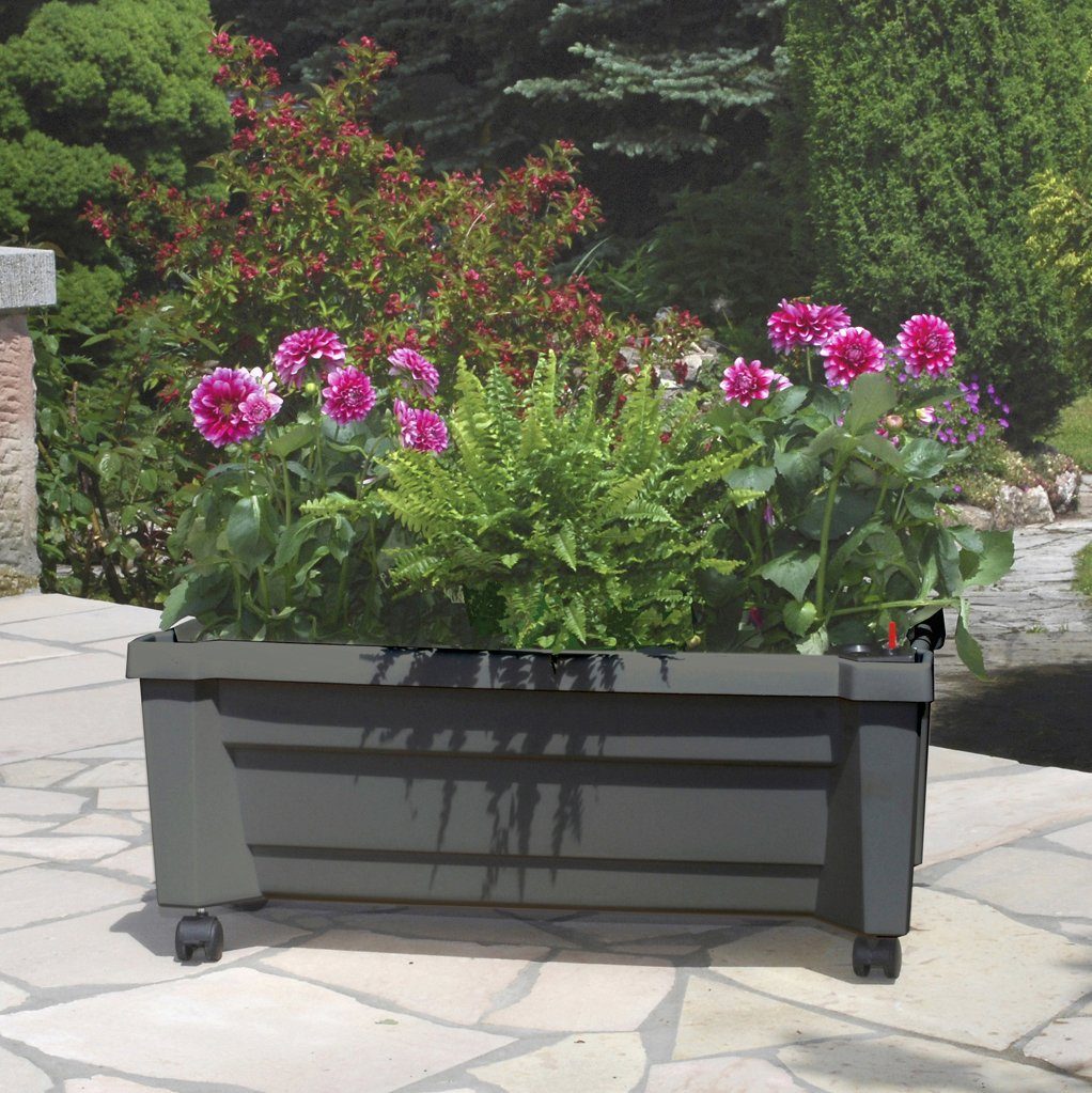 KHW Spalier Calypso, BxTxH: 79x35x115 cm, Pflanzkasten mit Rollen und Bewässerungssystem