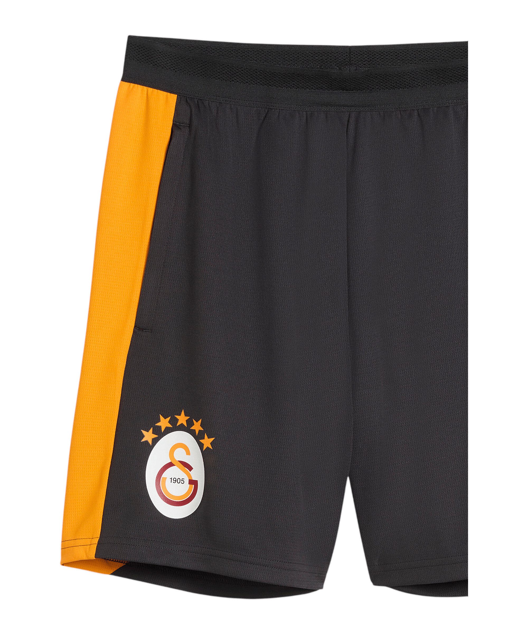 PUMA Sporthose PUMA Galatasaray Istanbul Training Short Shorts