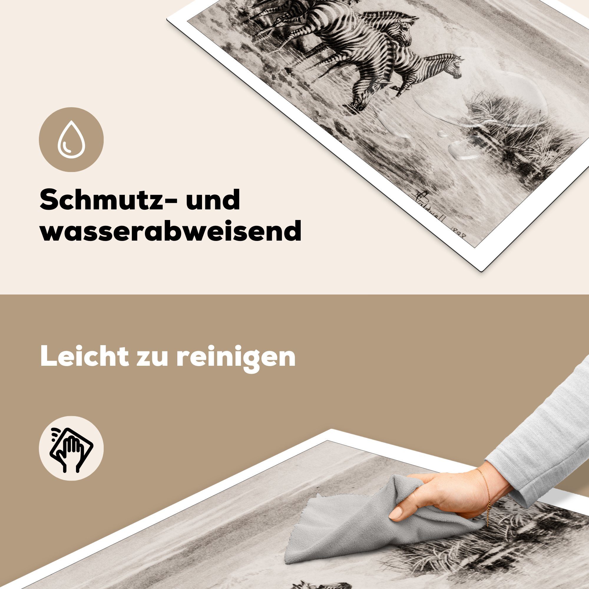 für tlg), Induktionskochfeld Schutz Illustration Wasser, - küche, (1 Herdblende-/Abdeckplatte cm, Zebra MuchoWow 81x52 die Ceranfeldabdeckung Vinyl, -