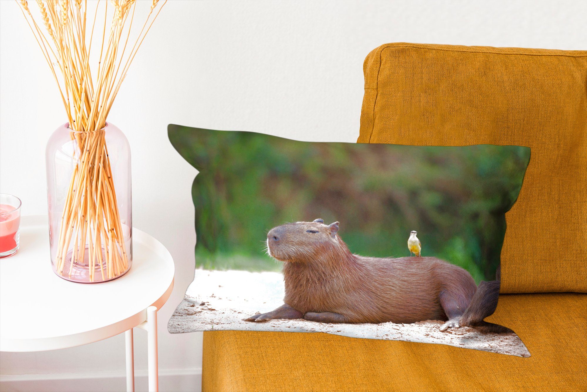 Dekoration, Schlafzimmer Vogel kleinen Füllung, einem mit darauf, mit Ein Dekokissen Wohzimmer Capybara Dekokissen MuchoWow Zierkissen,