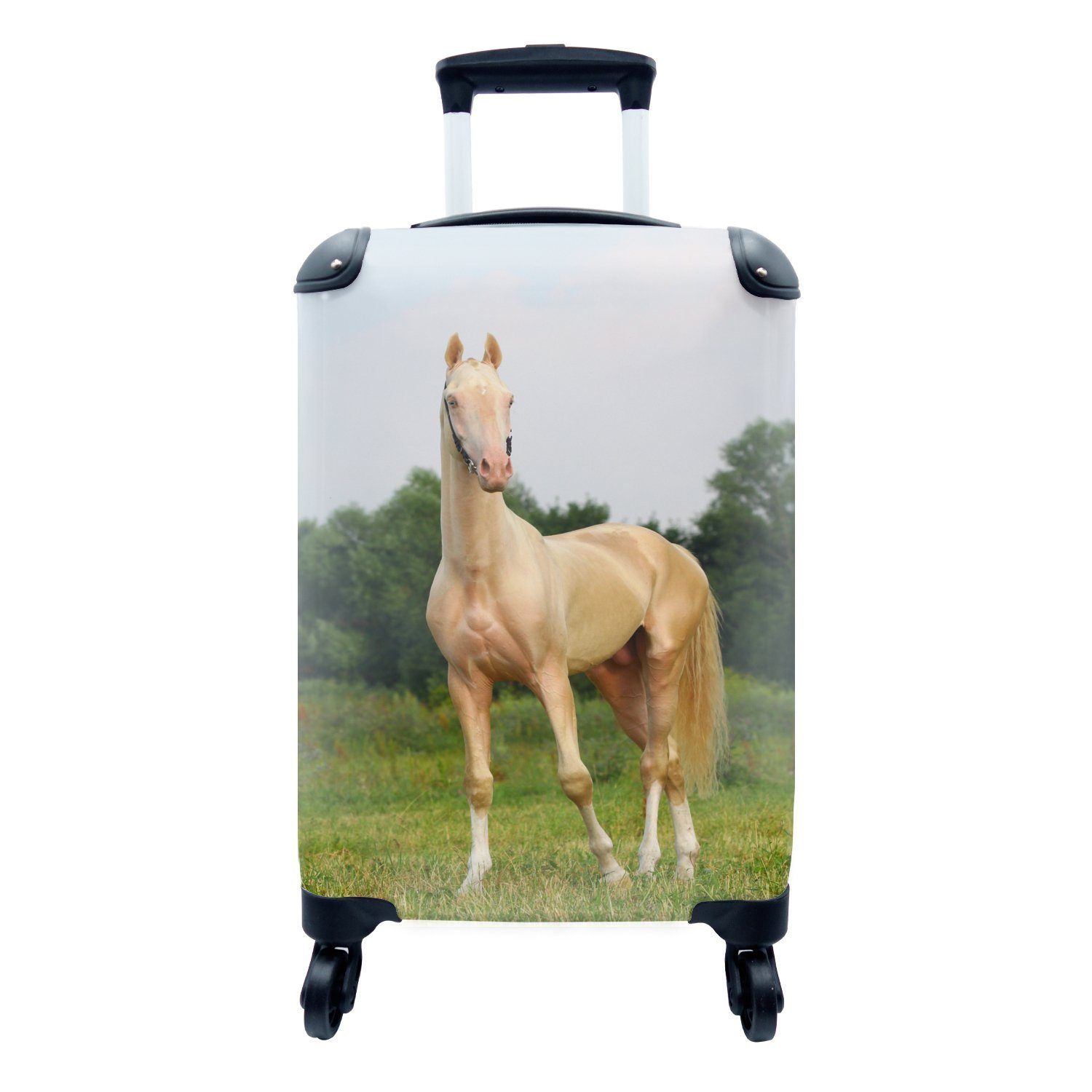 Reisetasche Handgepäckkoffer MuchoWow Trolley, - Ferien, für mit rollen, Gras Reisekoffer Farben, Rollen, - Handgepäck 4 Pferde