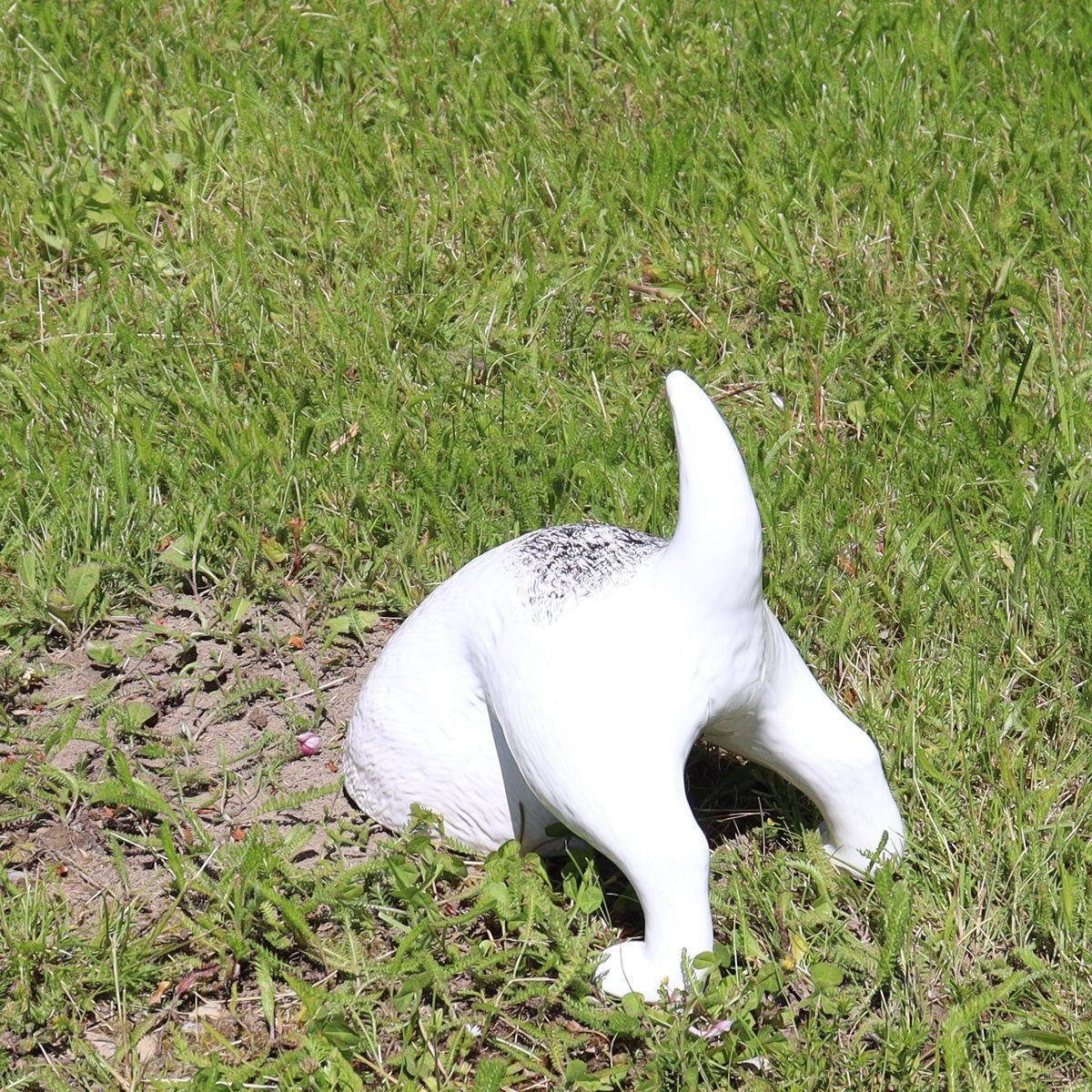 Stellen, (Stück) Tangoo Tangoo Hund Gartenfigur Keramik zum buddelnder