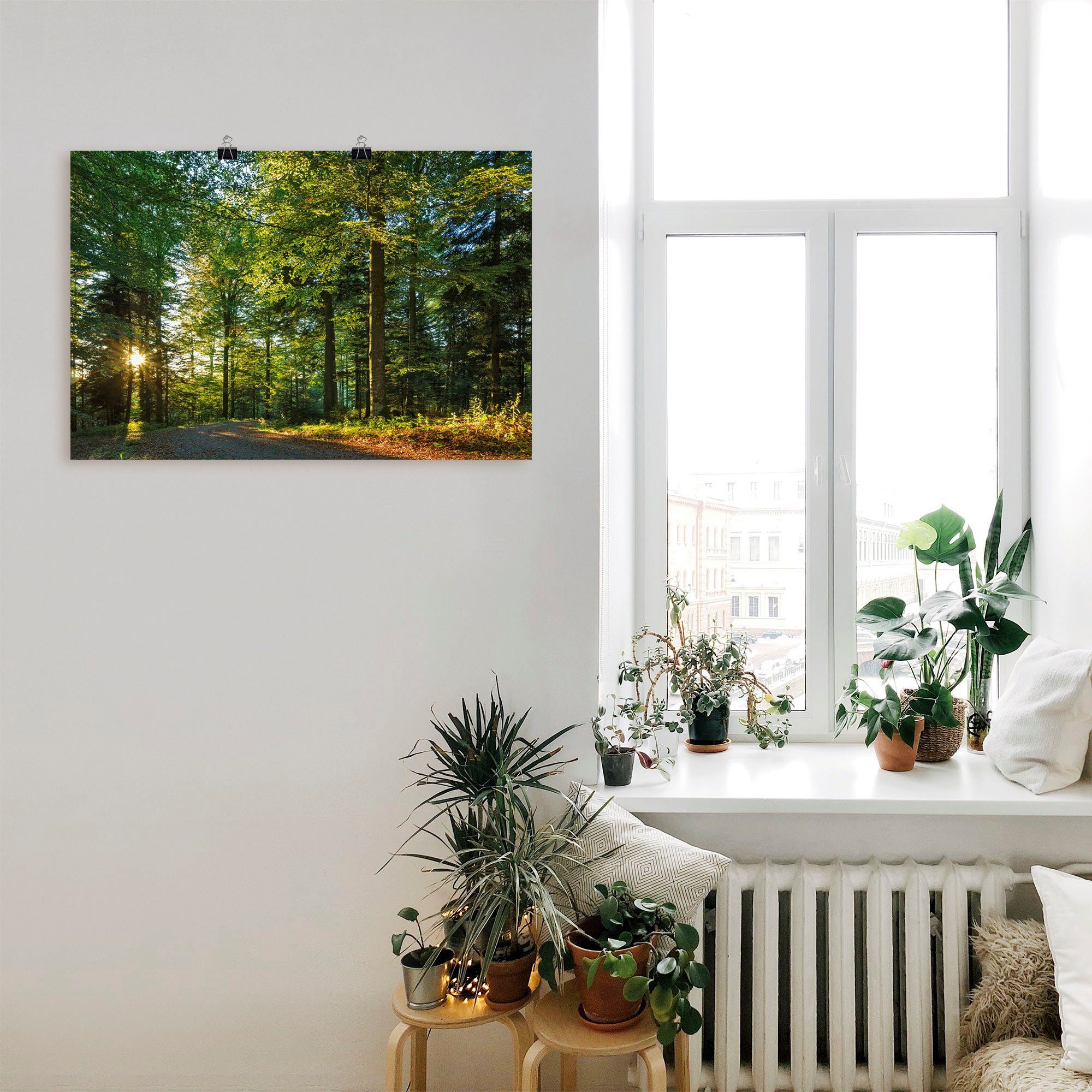 in Poster Alubild, Leinwandbild, Waldweg Wandaufkleber Wandbild Romantischen Schwarzwald, im Größen Waldbilder oder versch. (1 St), als Artland