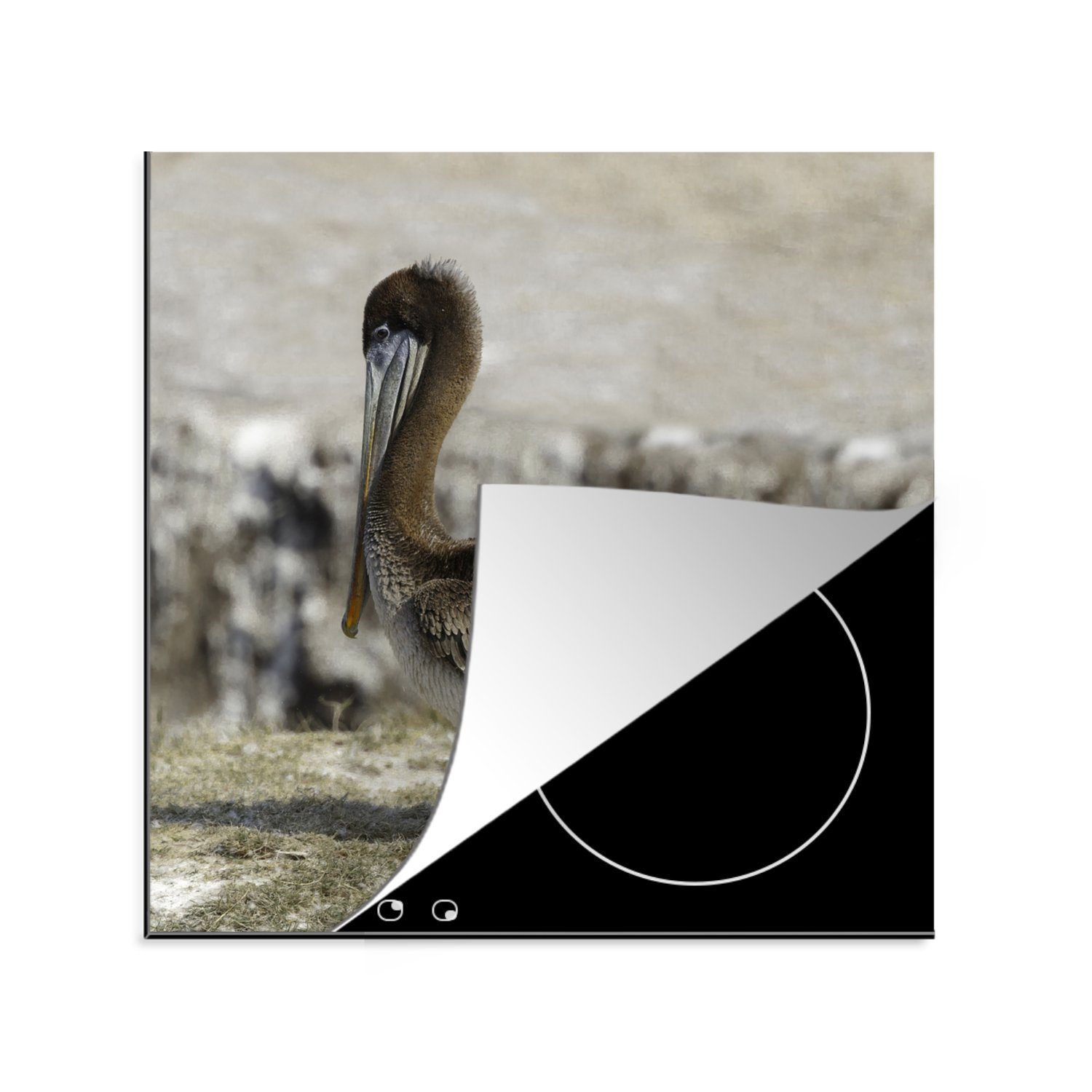 MuchoWow Herdblende-/Abdeckplatte Pelikan - Vogel - Natur, Vinyl, (1 tlg), 78x78 cm, Ceranfeldabdeckung, Arbeitsplatte für küche