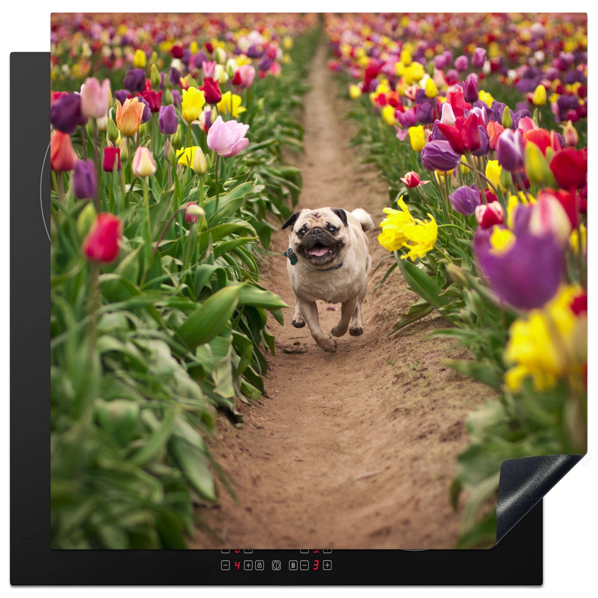 MuchoWow Herdblende-/Abdeckplatte Blumen - Tulpen - Hund, Vinyl, (1 tlg), 78x78 cm, Ceranfeldabdeckung, Arbeitsplatte für küche