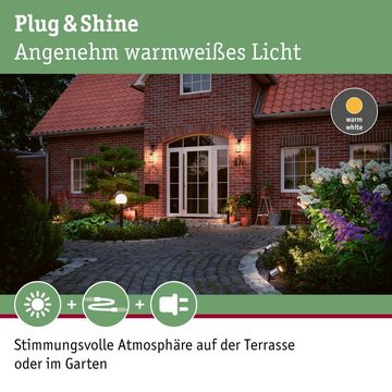 Paulmann LED Gartenstrahler LED Spot Plug & Shine 6W 310lm IP65 Warmweiß in Anthrazit, keine Angabe, Leuchtmittel enthalten: Ja, fest verbaut, LED, warmweiss, Außenstrahler