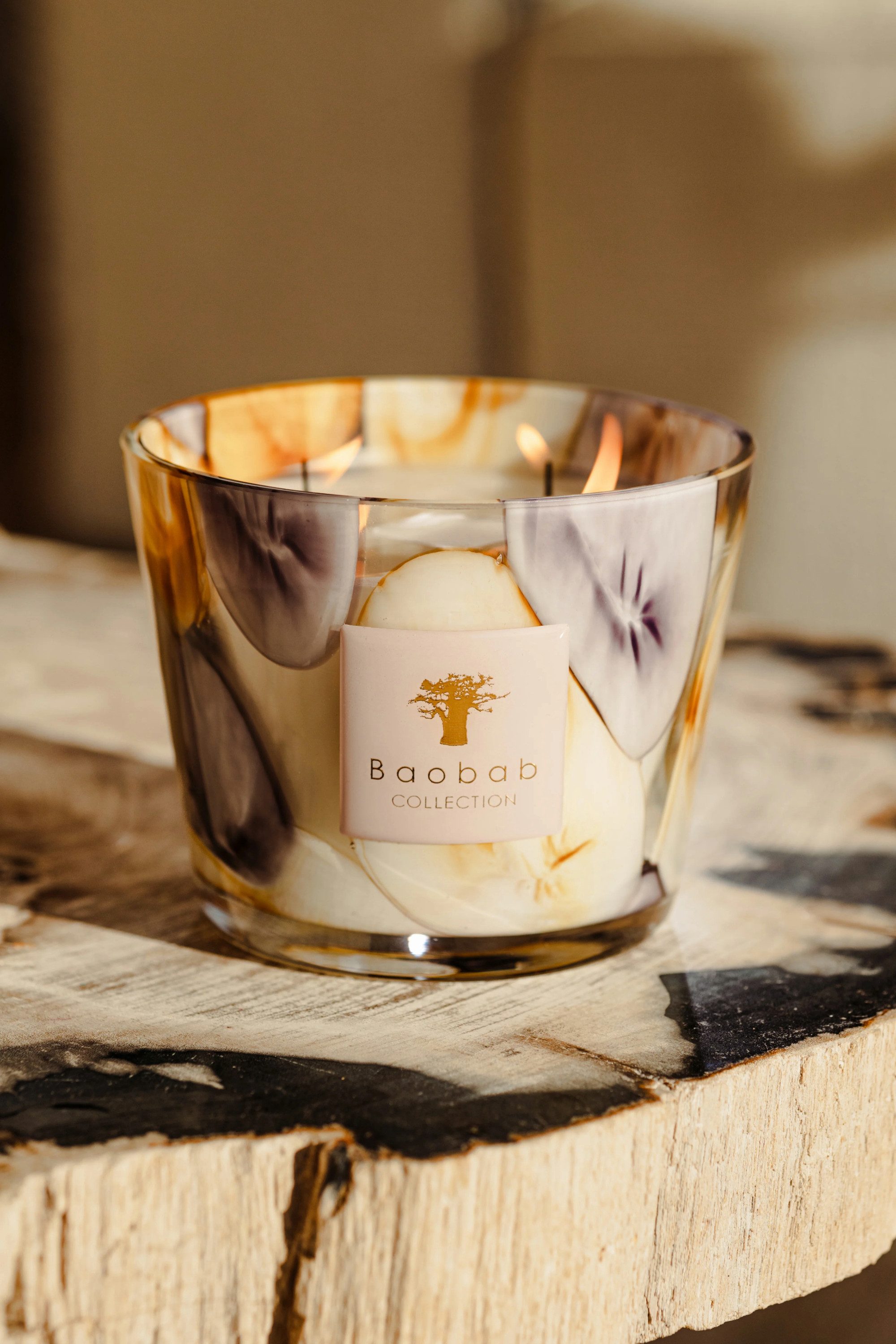Baobab Duftkerze Baobab Duftkerze Riviera Eilenroc