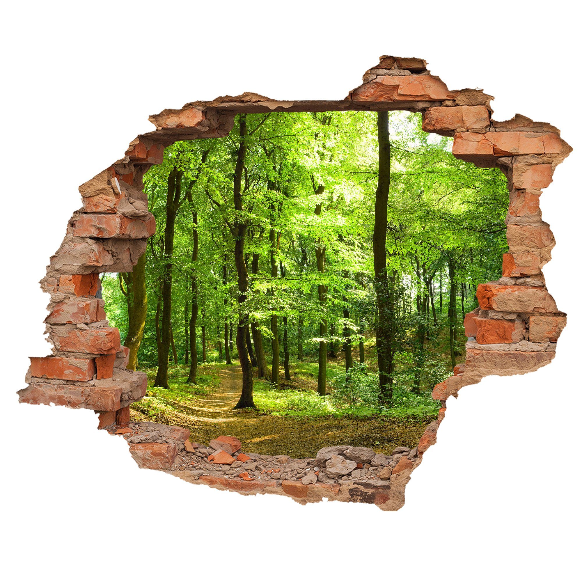 WallSpirit Wandtattoo Wanddurchbruch "Wald", Selbstklebend, rückstandslos günstig online kaufen