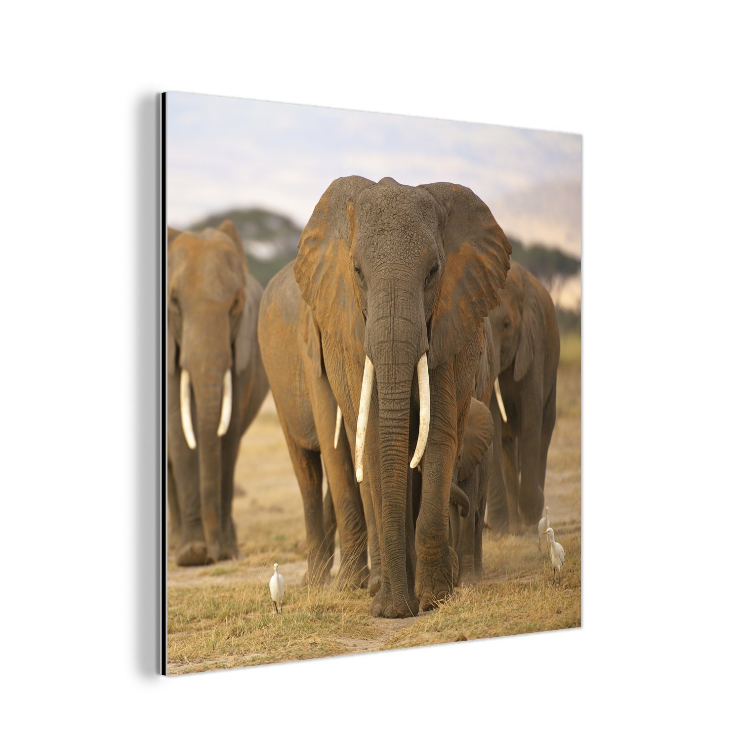 MuchoWow Metallbild Familie der Elefanten, (1 St), Alu-Dibond-Druck, Gemälde aus Metall, Aluminium deko