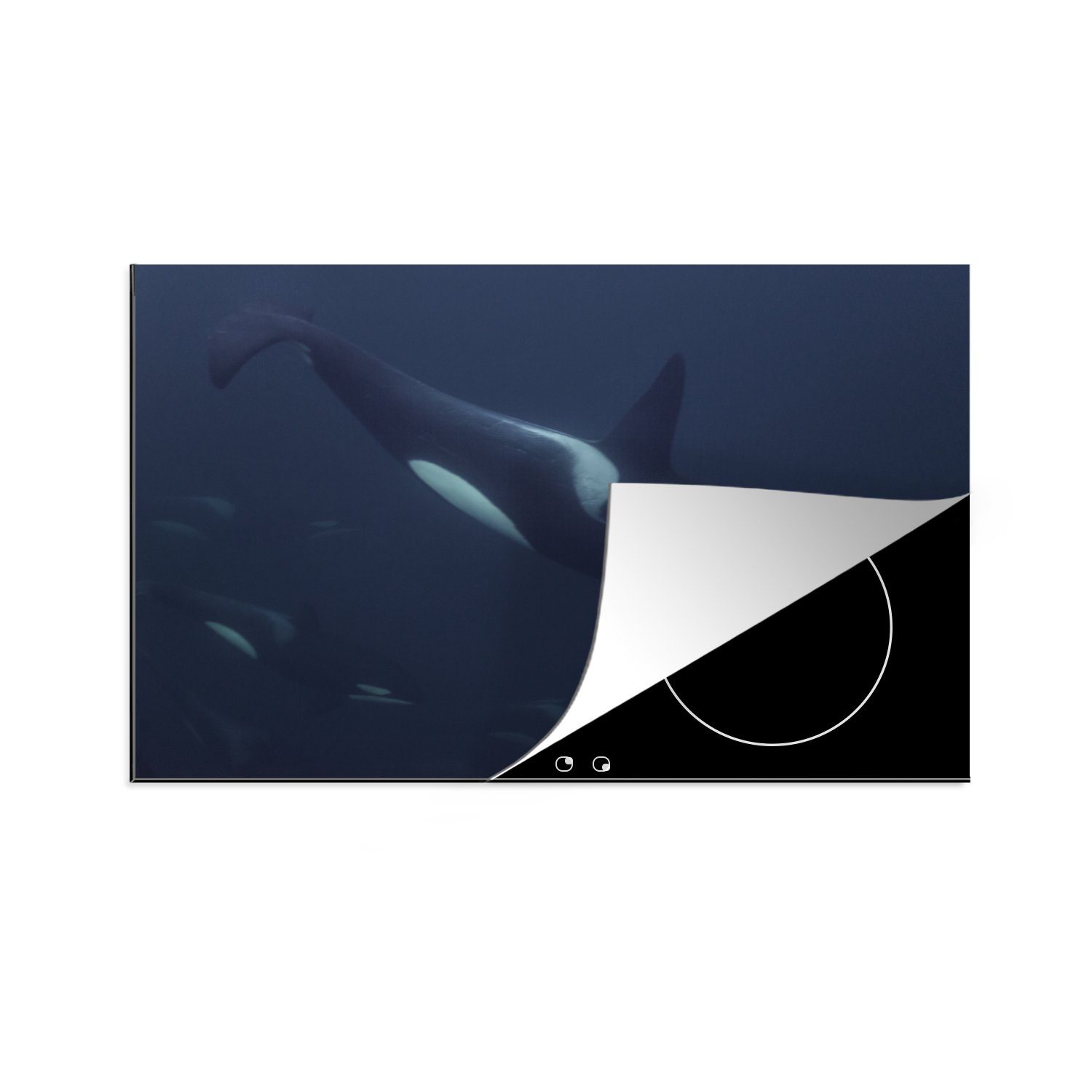 MuchoWow Herdblende-/Abdeckplatte Gruppe von Orcas schwimmt vorbei, Vinyl, (1 tlg), 81x52 cm, Induktionskochfeld Schutz für die küche, Ceranfeldabdeckung