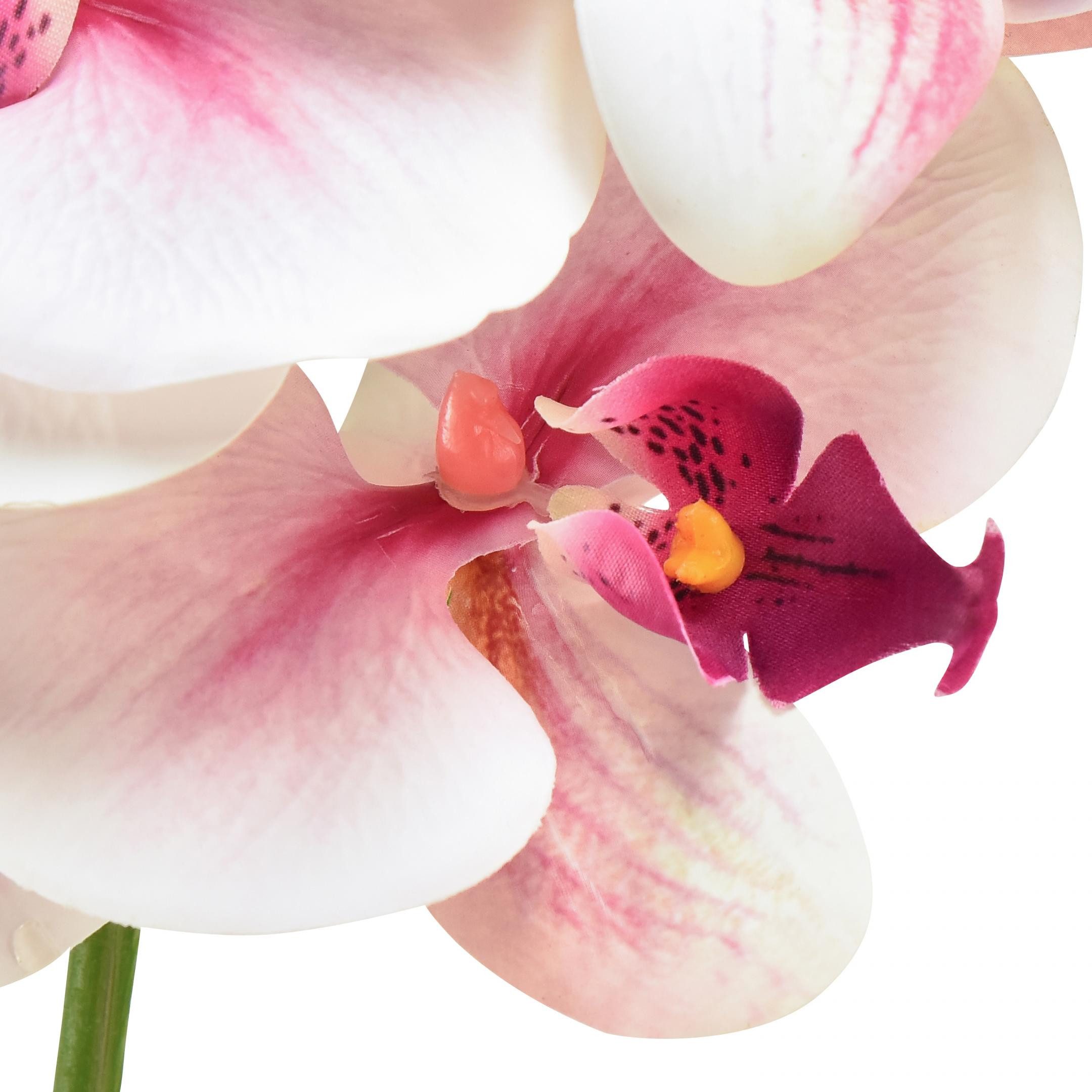 Kunstorchidee Phalaenopsis Orchidee künstlich Weiß Fuchsia günstig online kaufen