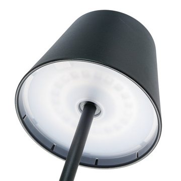 Greemotion LED Lampion LED Tischlampe mit Farbwechsel