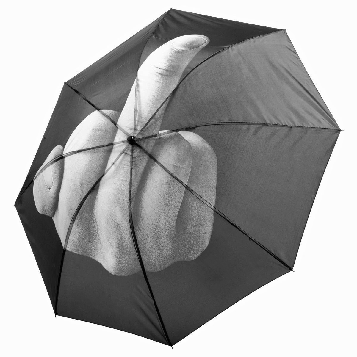 Goods+Gadgets Taschenregenschirm Regenschirm mit Mittelfinger, Stinkefinger Schirm 100 cm