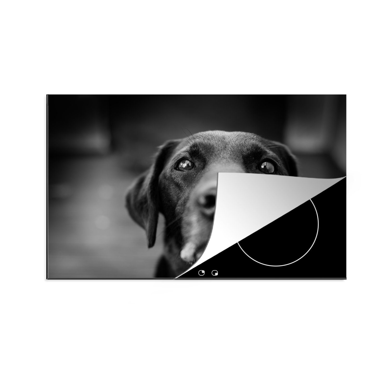 MuchoWow Herdblende-/Abdeckplatte Tierprofil Labrador Hund in schwarz und weiß, Vinyl, (1 tlg), 81x52 cm, Induktionskochfeld Schutz für die küche, Ceranfeldabdeckung