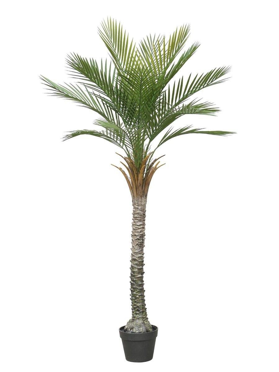 Kunstpalme Deko Phönixpalme ZOLTER, crossdoor, 150cm Dattelpalme, artplants, Höhe 150.0 cm