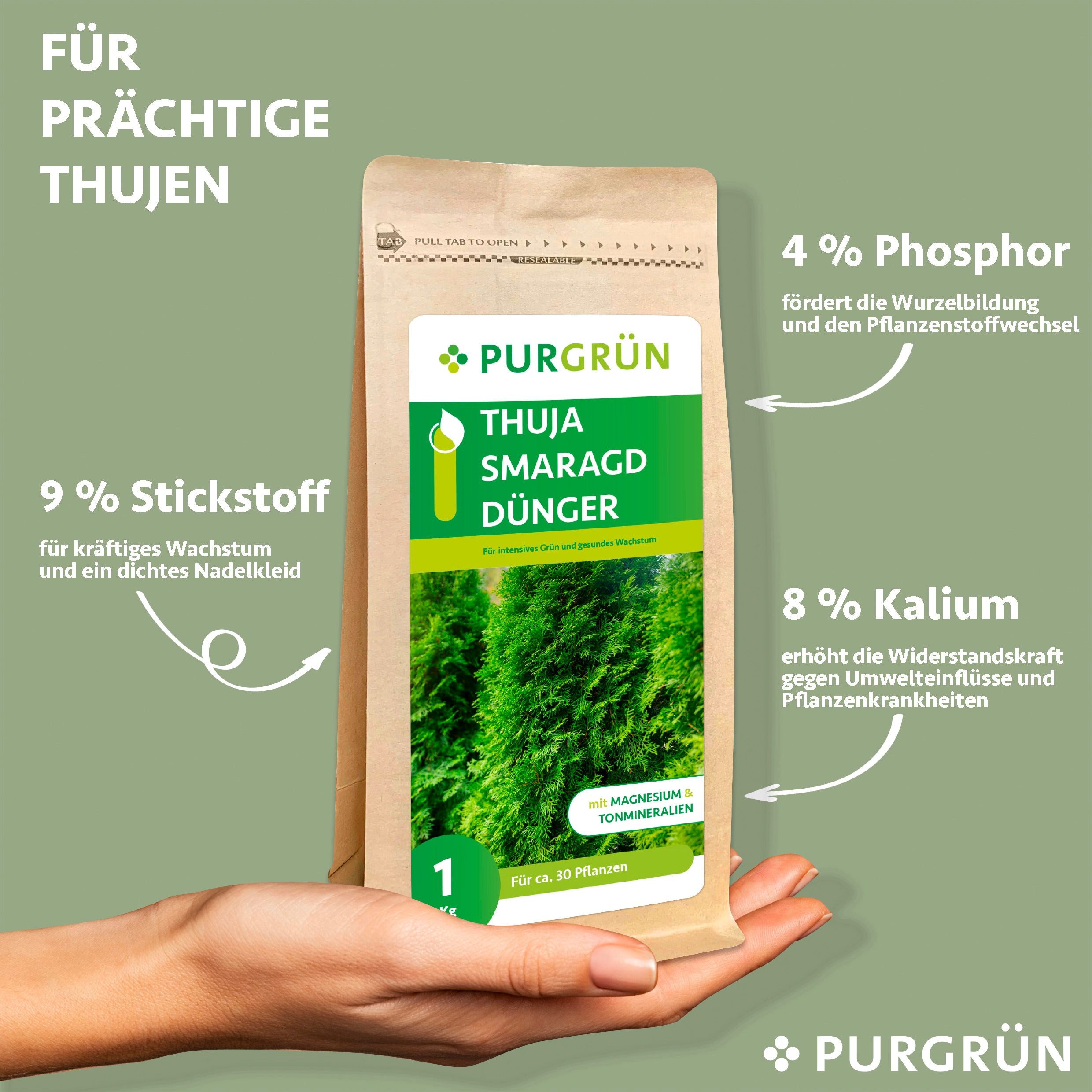 Purgrün Gartendünger Purgrün Thuja Smaragd Dünger, günstig online kaufen