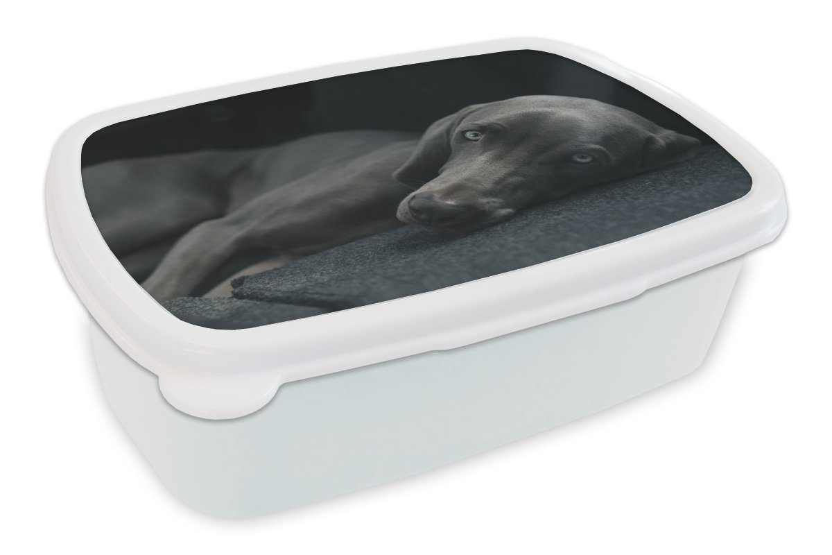 MuchoWow Lunchbox Hund - Augen - Schwarz, Kunststoff, (2-tlg), Brotbox für Kinder und Erwachsene, Brotdose, für Jungs und Mädchen weiß