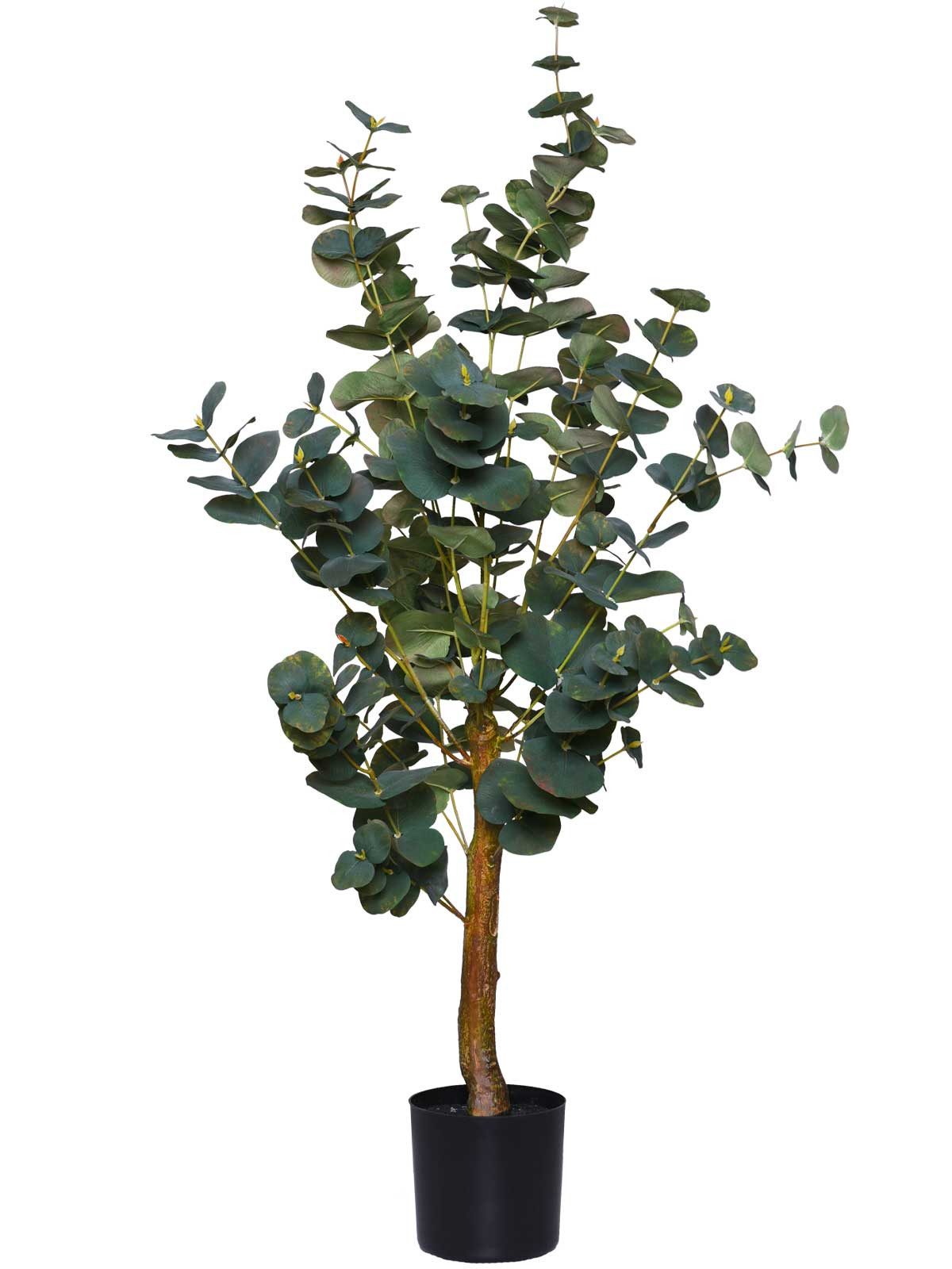 Kunstpflanze Kunststoff EUKALY Organisch - Grün Naturgetreu, VIVANNO, Höhe 95 cm, 50x95 cm. € 99,90, (€ 99,90 pro 1 Stk).