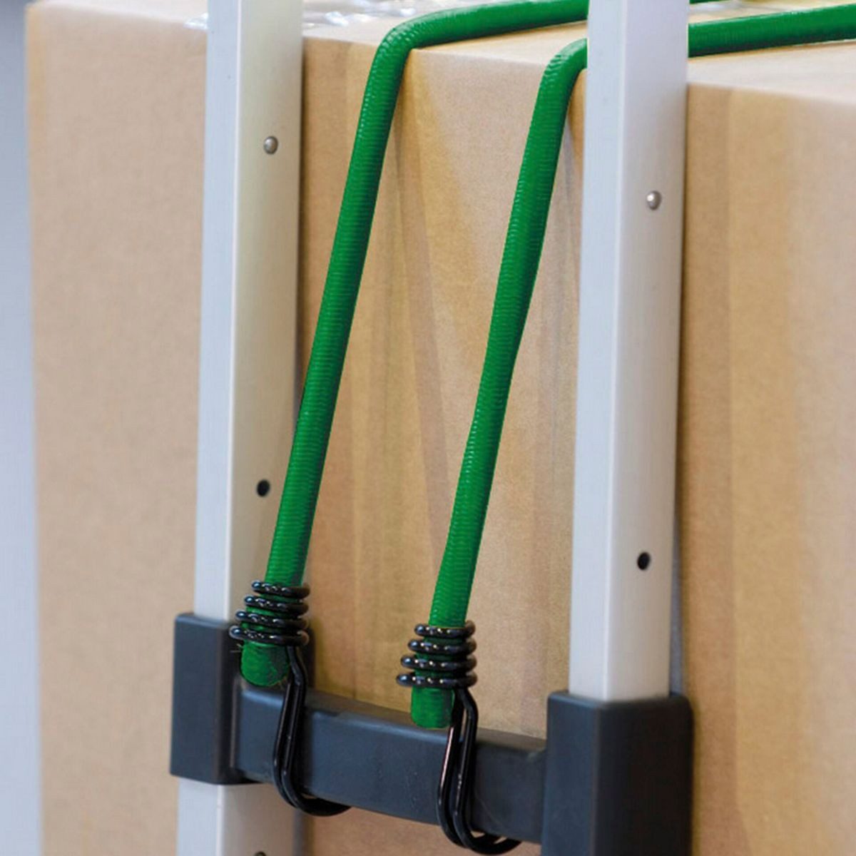 Master Lock 10x1 Gummispannseil Plastikgestell 3043EURDAT Diebstahlalarm