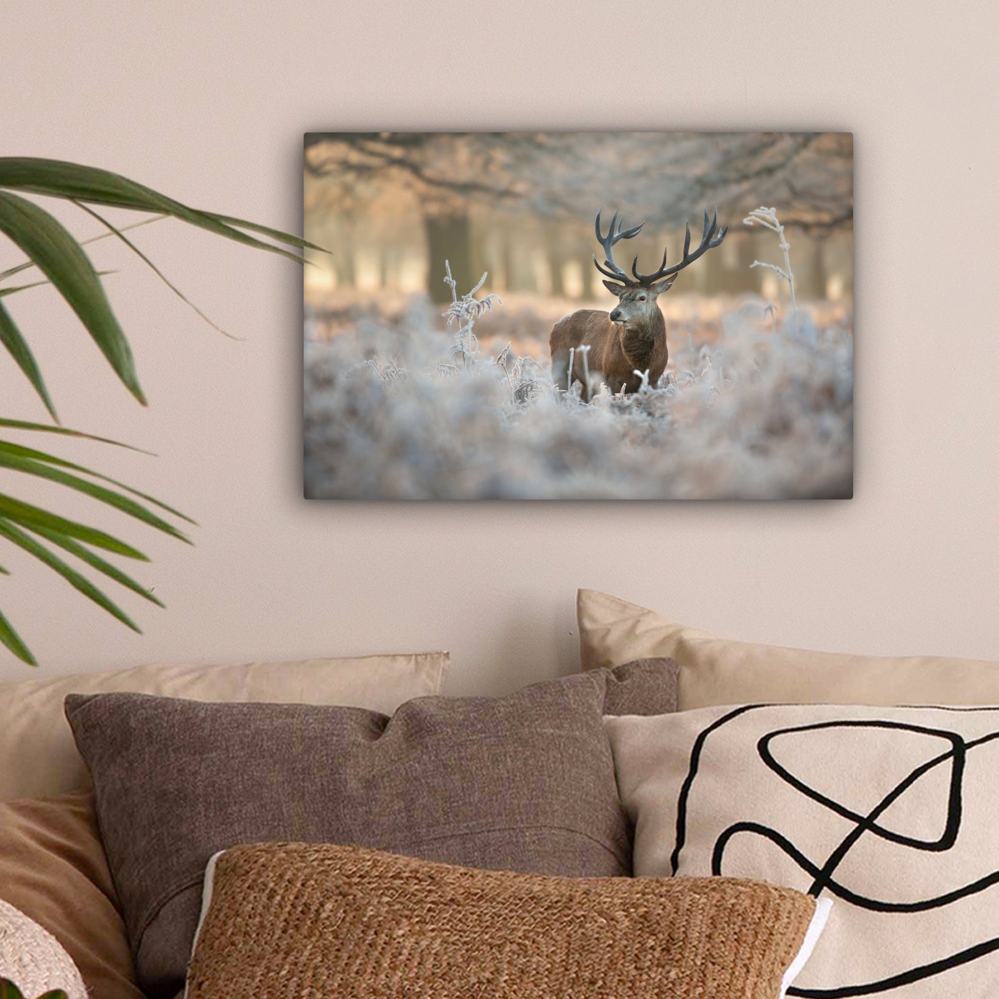 OneMillionCanvasses® Leinwandbild Hirsche - Tiere - Winter, Fotodruck (1 St günstig online kaufen