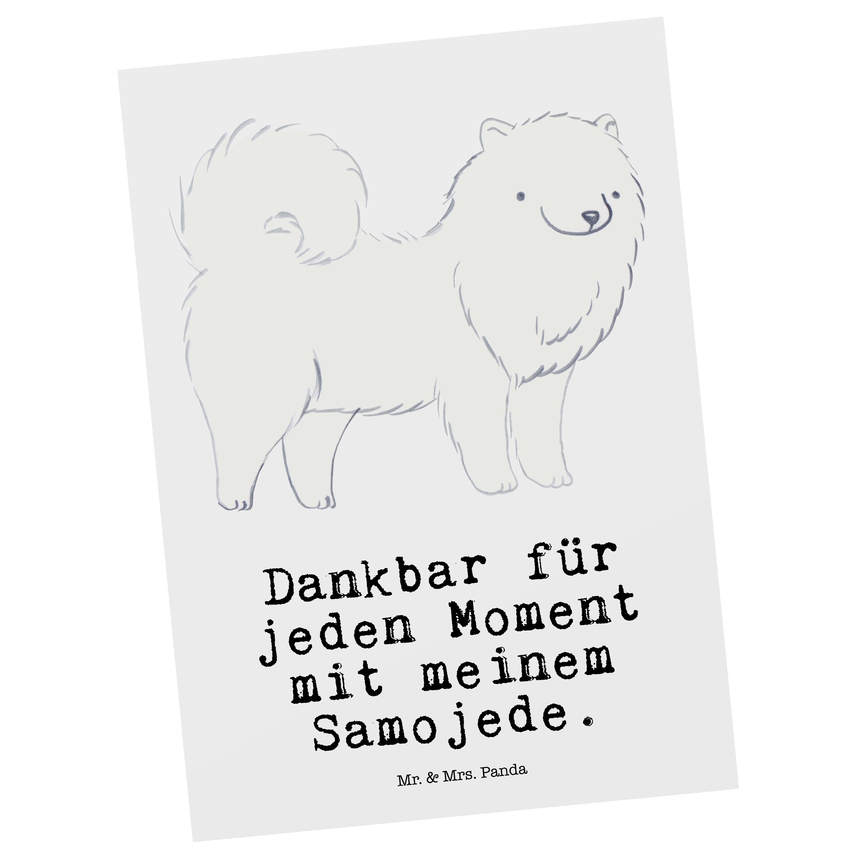 & - - Einladungskarte, Geschenk, Moment Samojede Panda Postkarte Mr. Schenken, Weiß Grußkar Mrs.