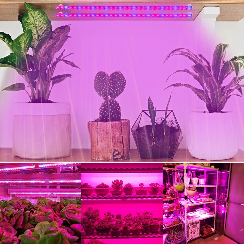 8 10W rote & blaue LED Pflanze wachsen Lichter Vollspektrum Lampe Garten 