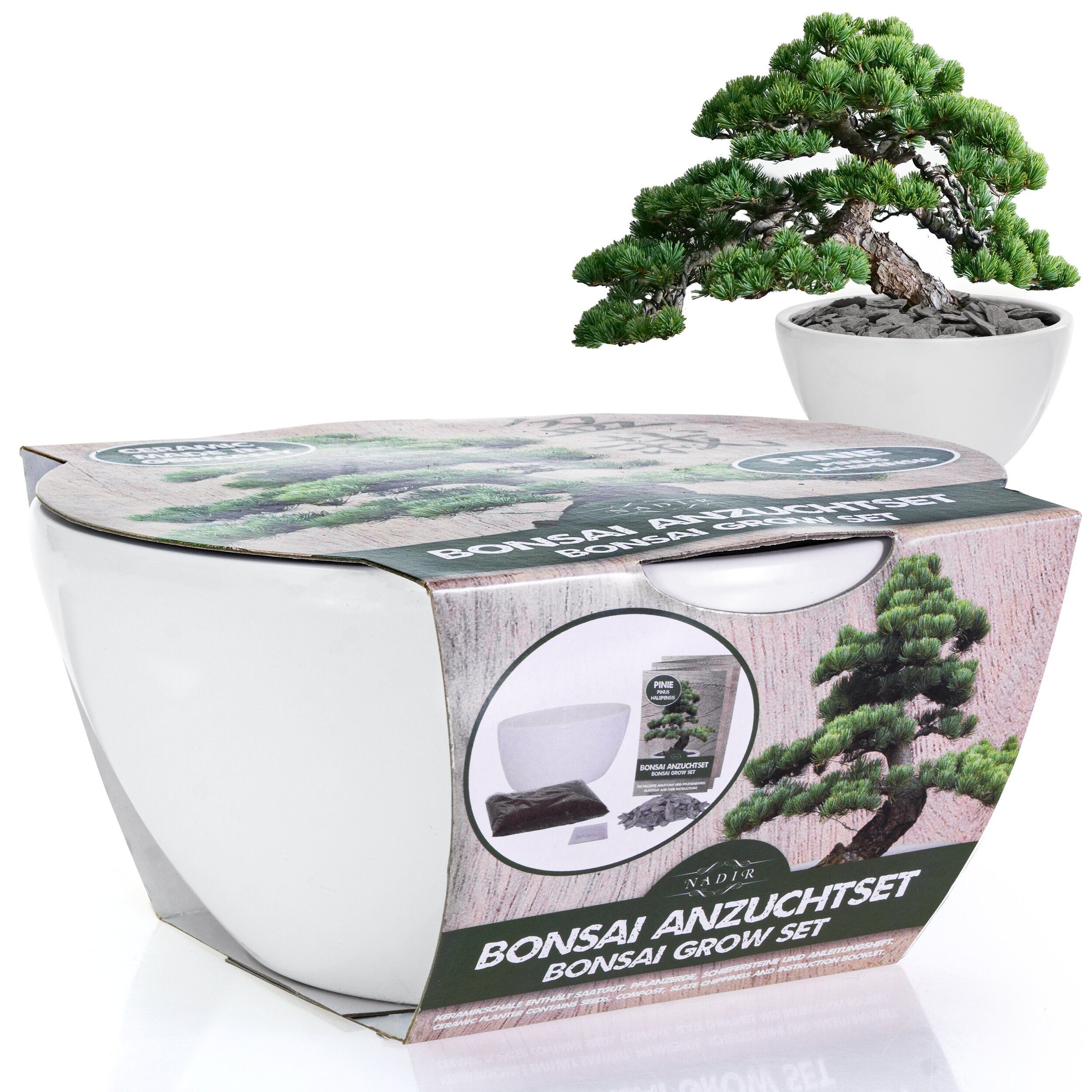 Kunstbonsai Bonsai Starter Kit Anzuchtset Pinie Pflanzenset Geschenk Bonsai, NADIR