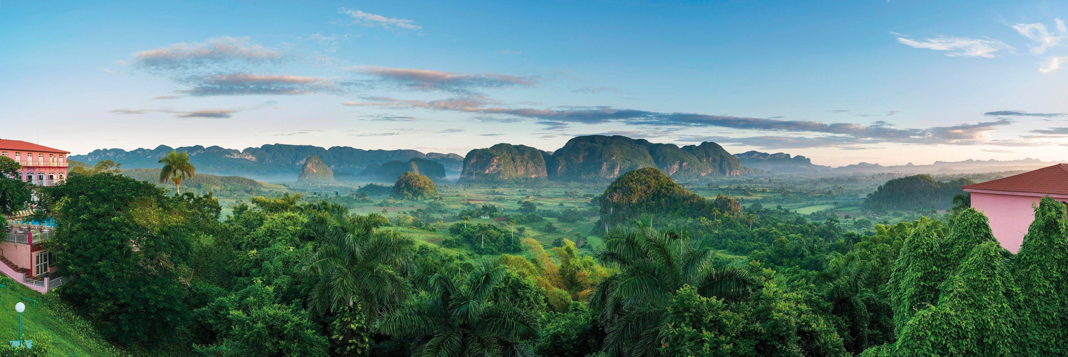 Rasch Fototapete Young Artists, glatt, Wald, gemustert, (1 St)