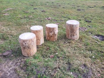 Kistenkolli Altes Land Allzweckkiste Holzstamm Sitzhocker Sitzstamm Hocker Beistelltisch Beistellhocker