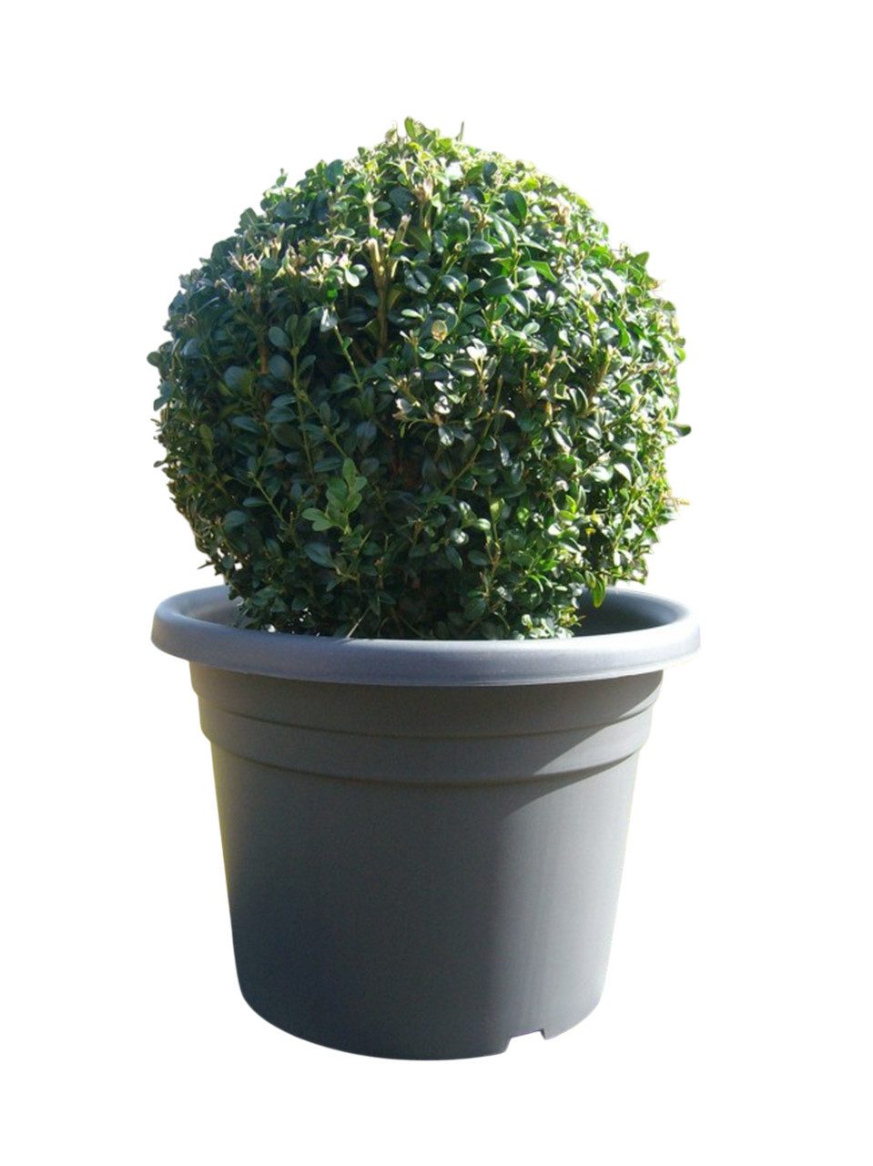 Deko-Impression Плантатор Großer Плантатор Palermo Pflanztopf, Blumentopf, 40 cm, anthrazit (1 St)