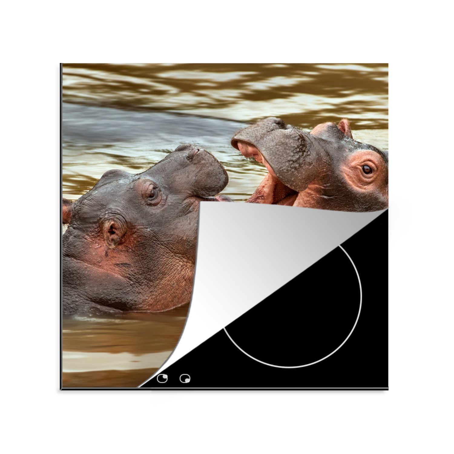 MuchoWow Herdblende-/Abdeckplatte Nilpferde - Wasser - Kämpfen, Vinyl, (1 tlg), 78x78 cm, Ceranfeldabdeckung, Arbeitsplatte für küche