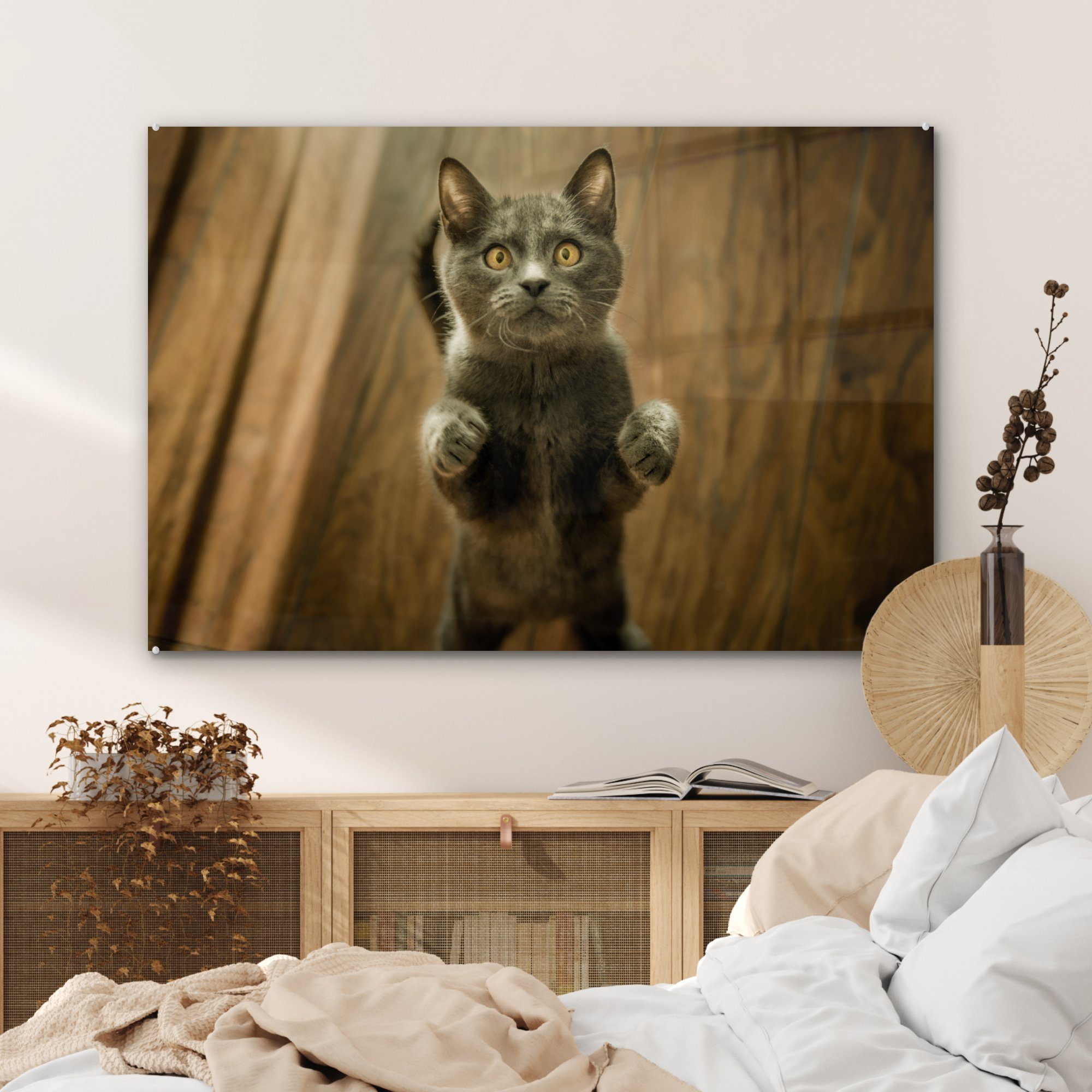 MuchoWow Acrylglasbild Katzen Grau, - & - (1 St), Schlafzimmer Boden Wohnzimmer Acrylglasbilder