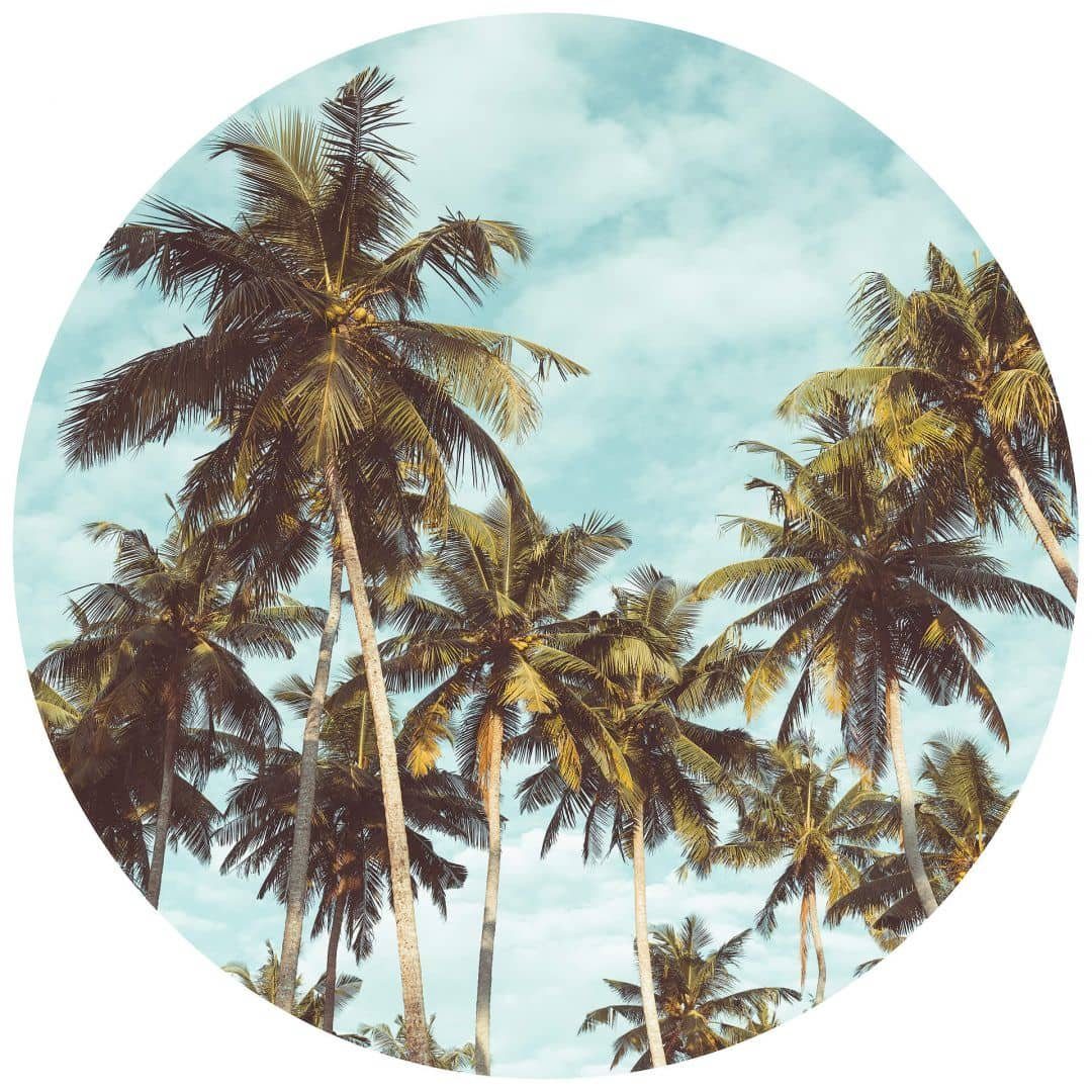K&L Wall Art Fototapete Florida Palmen Miami Retro Vliestapete Wohnzimmer Tapete Modern, Kokospalme Tapete, Moderne Vlies-Fototapeten für Büro und Wohnraum, hergestellt in Berlin. € 47,99, (€ 24,48 pro 1 qm).