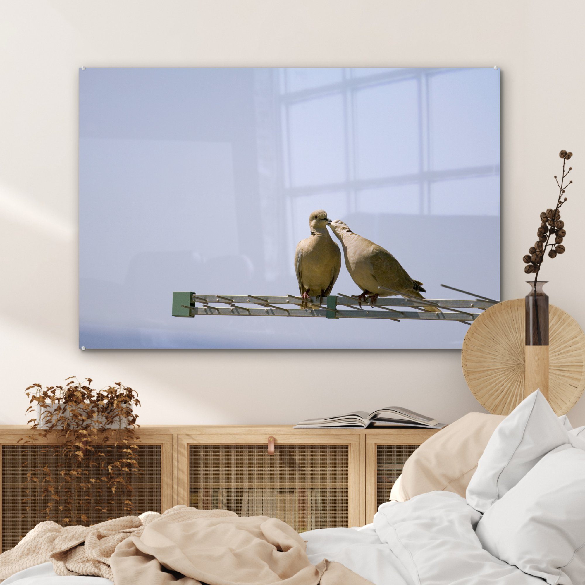 MuchoWow Acrylglasbild (1 & Turteltaube Wohnzimmer Acrylglasbilder - Tiere, Antenne - St), Schlafzimmer